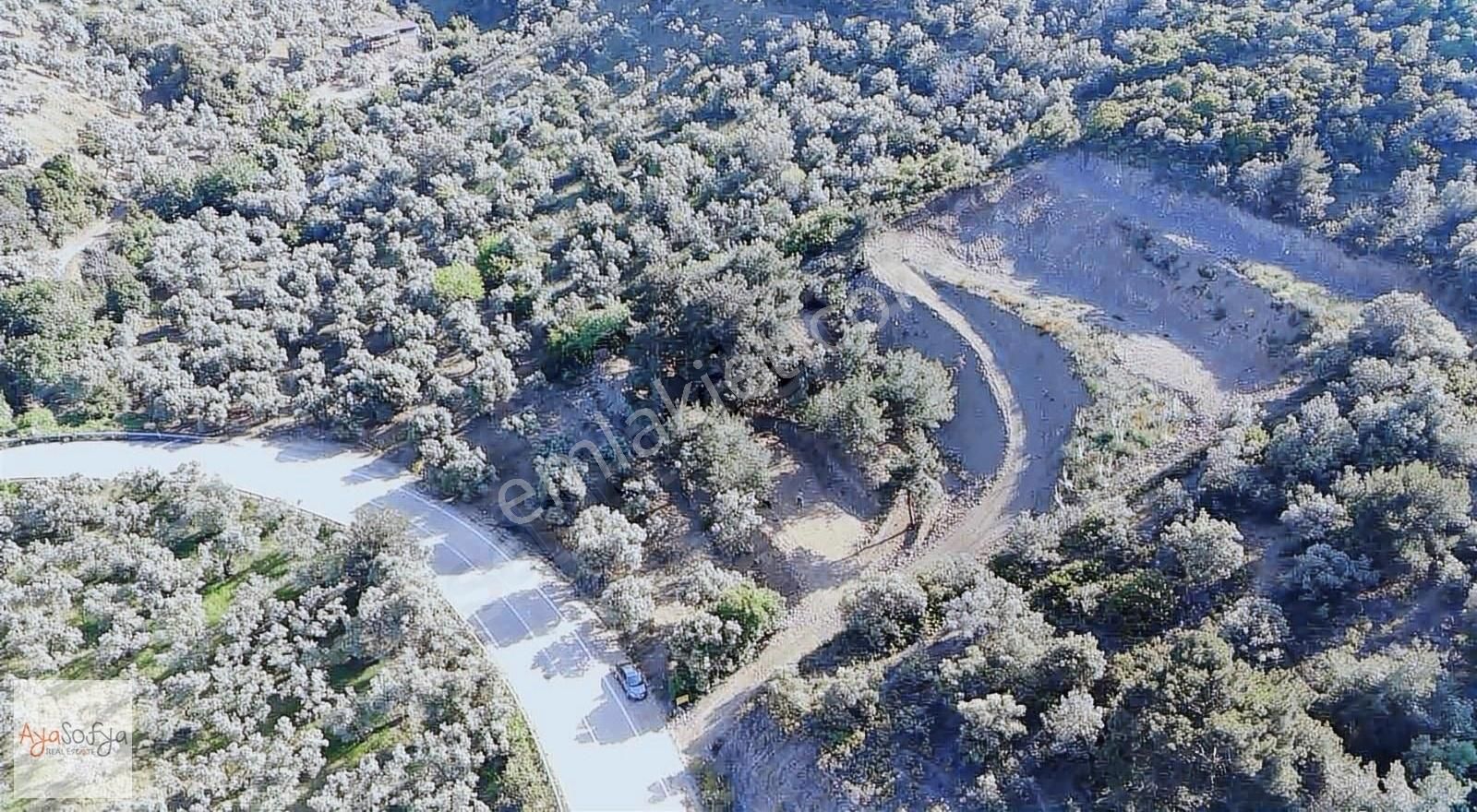 Bursa Mudanya Deniz Manzara Anayol Üstü Caravanpark - Görsel 9