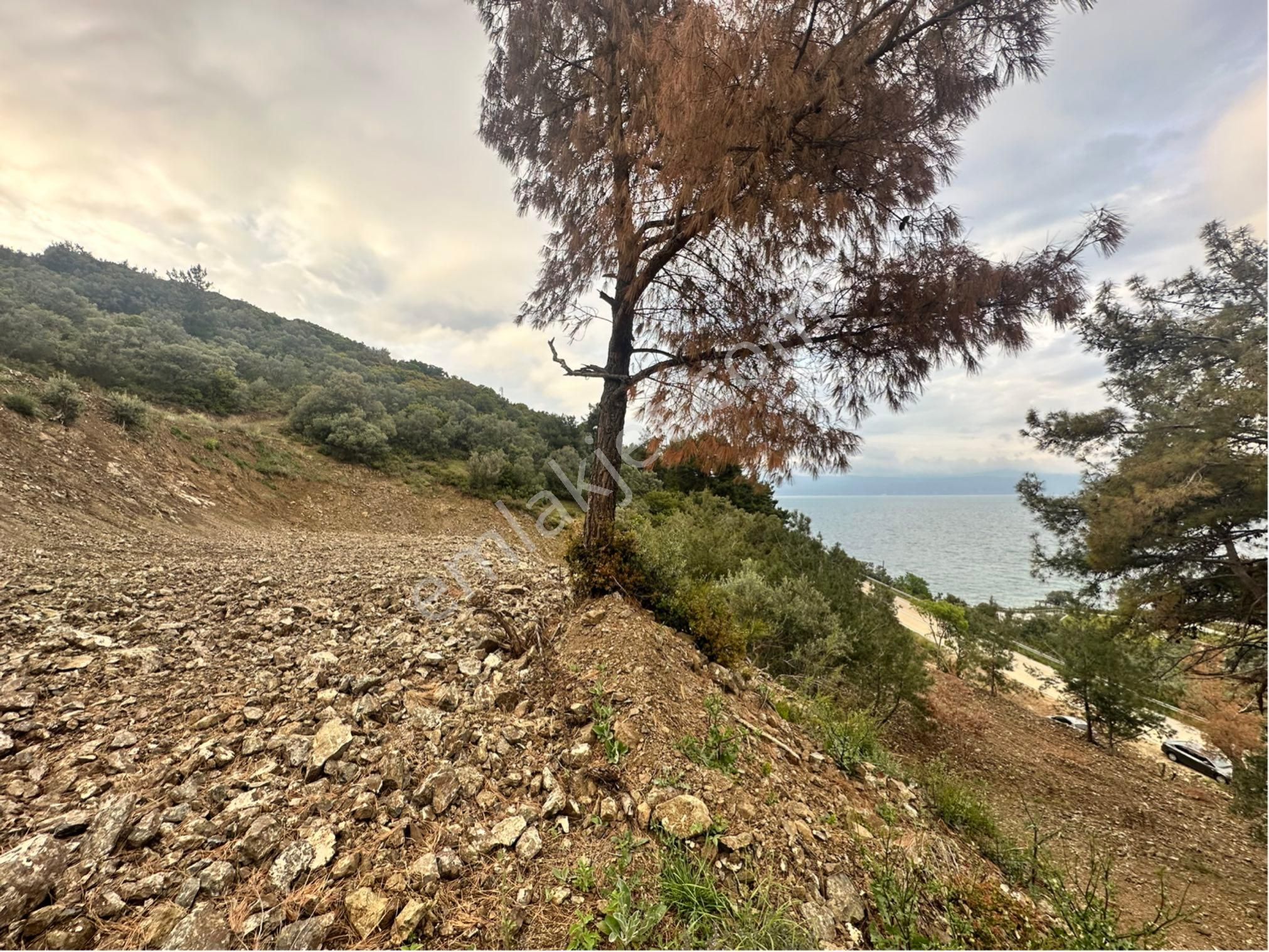 Bursa Mudanya Deniz Manzara Anayol Üstü Caravanpark - Görsel 5