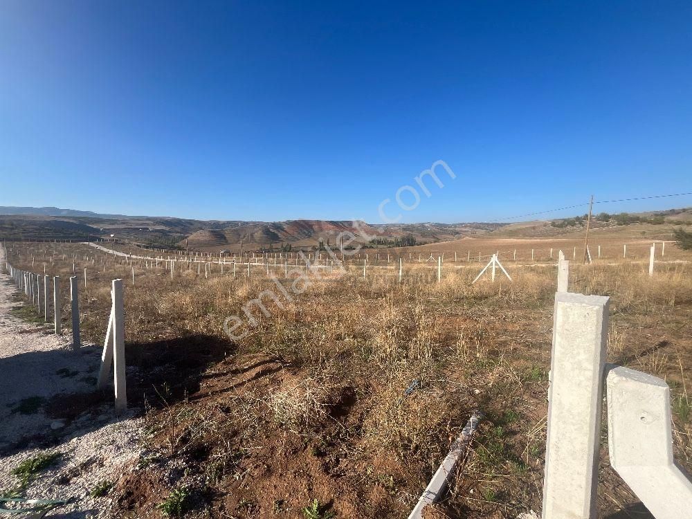 Çorum Merkez Sarmaşa Köyü Satılık Bağ & Bahçe Güvenay - Çorum Eski Osmancık Yolu Sarmaşa Satılık Bahçe