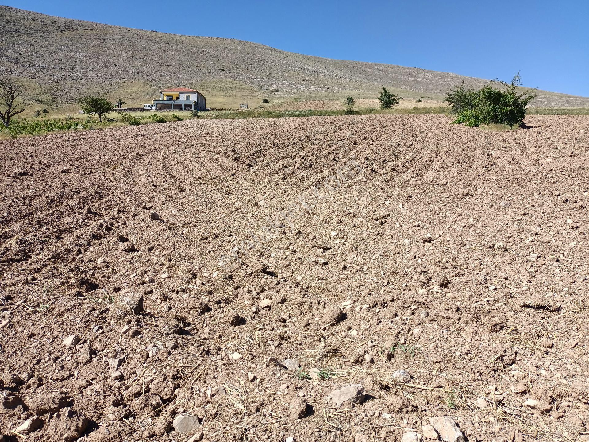 Melikgazi Gürpınar Satılık Bağ & Bahçe Erciyes Manzaralı Satılık Bağ