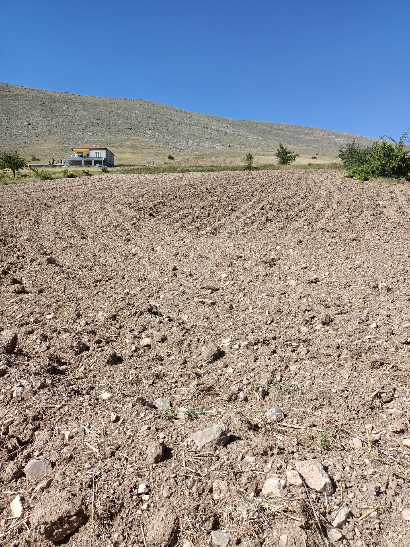 Kısa Süreliğine Tek Fiyat - Görsel 2