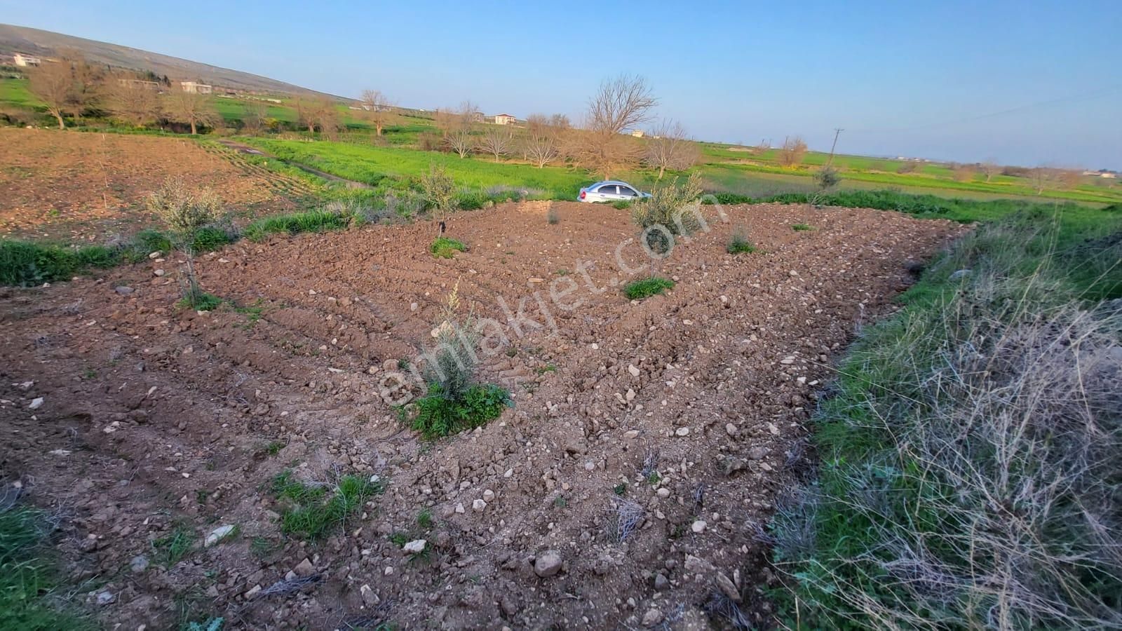 Şahinbey Kerer Satılık Tarla Hobi Bahçesi İçin Uygun Satılık