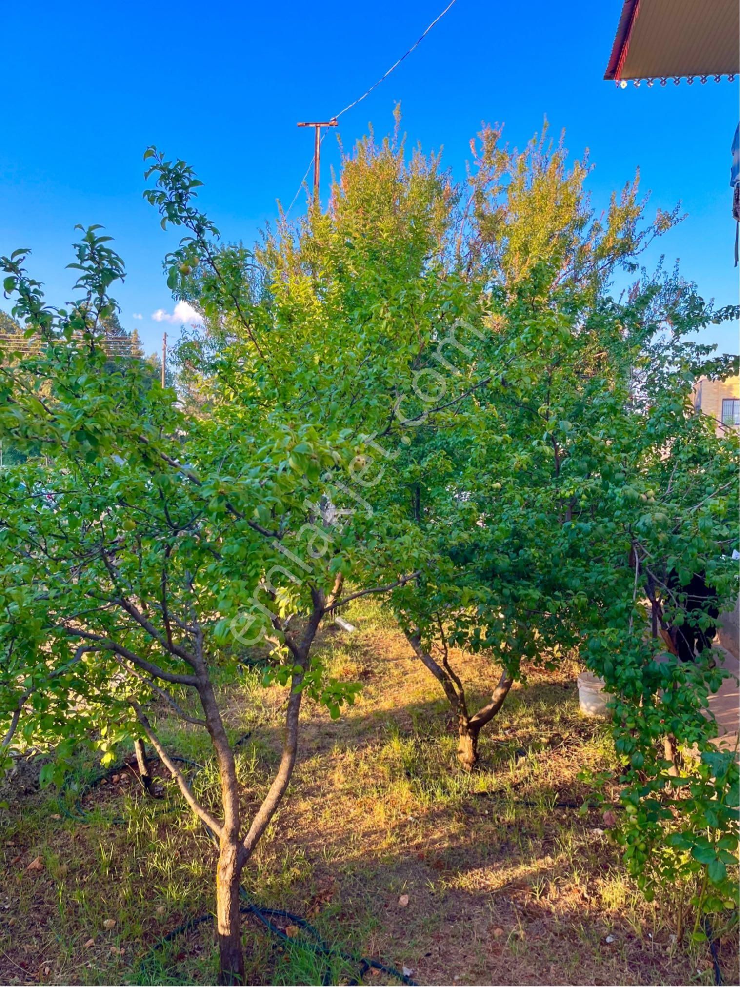 Lidya’dan Avgadı-güzeloluk Yaylaları Arası Satılık İki Katlı Müstakil Ev - Görsel 6