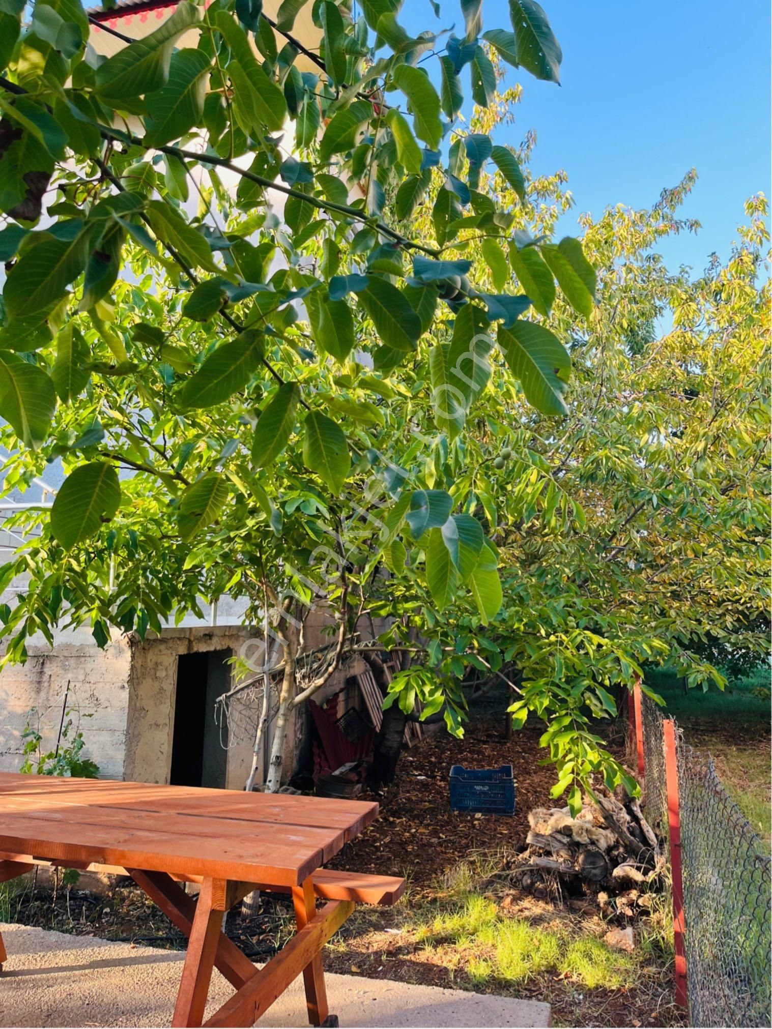 Lidya’dan Avgadı-güzeloluk Yaylaları Arası Satılık İki Katlı Müstakil Ev - Görsel 10