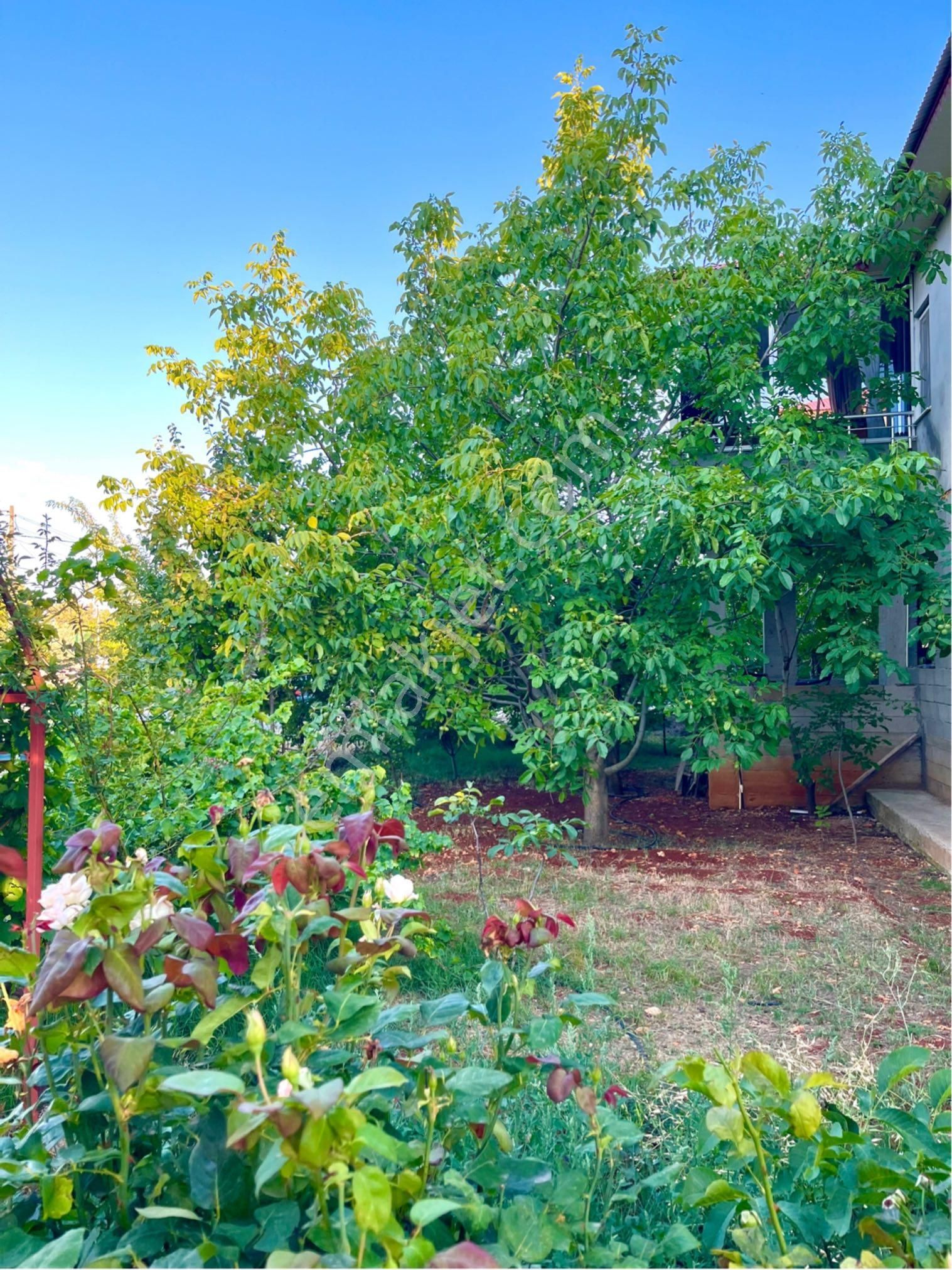 Lidya’dan Avgadı-güzeloluk Yaylaları Arası Satılık İki Katlı Müstakil Ev - Görsel 5