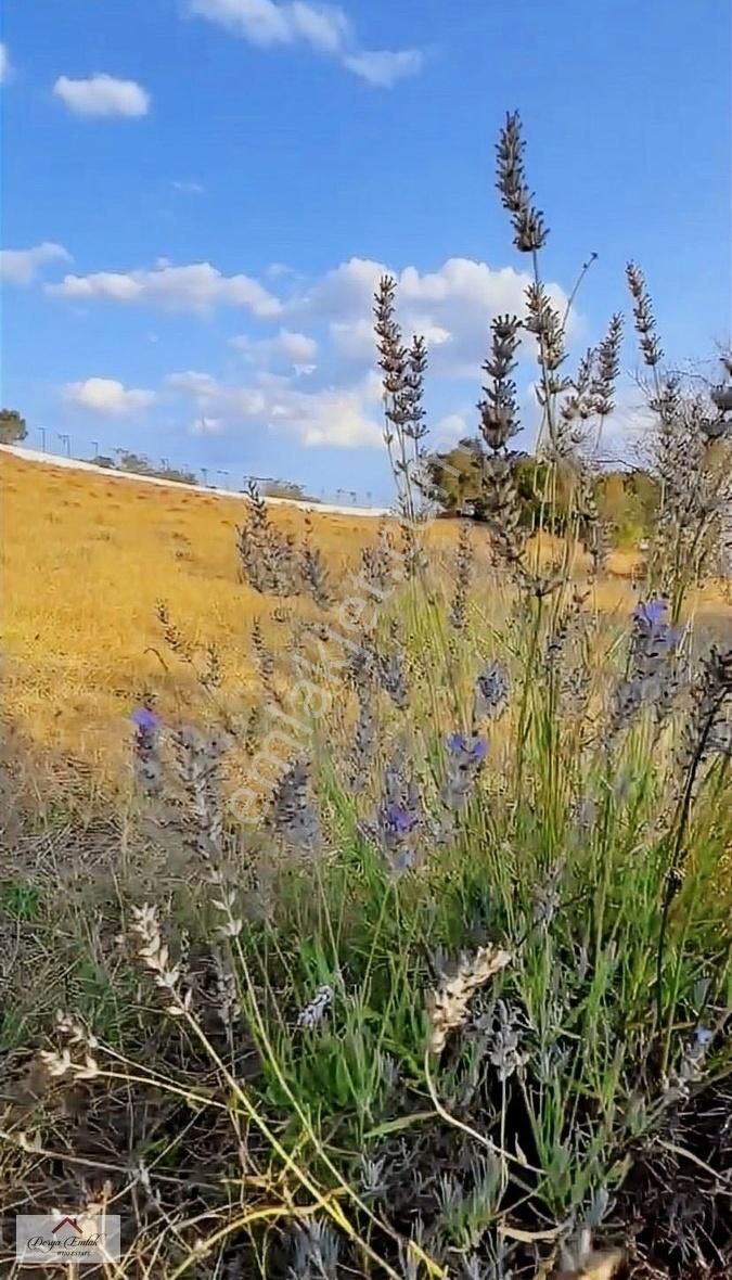 Vize Akpınar Köyü Satılık Tarla Derya'dan Vize Akpınar Köyçi İmarlı 11.834m2 Satılık Tarla