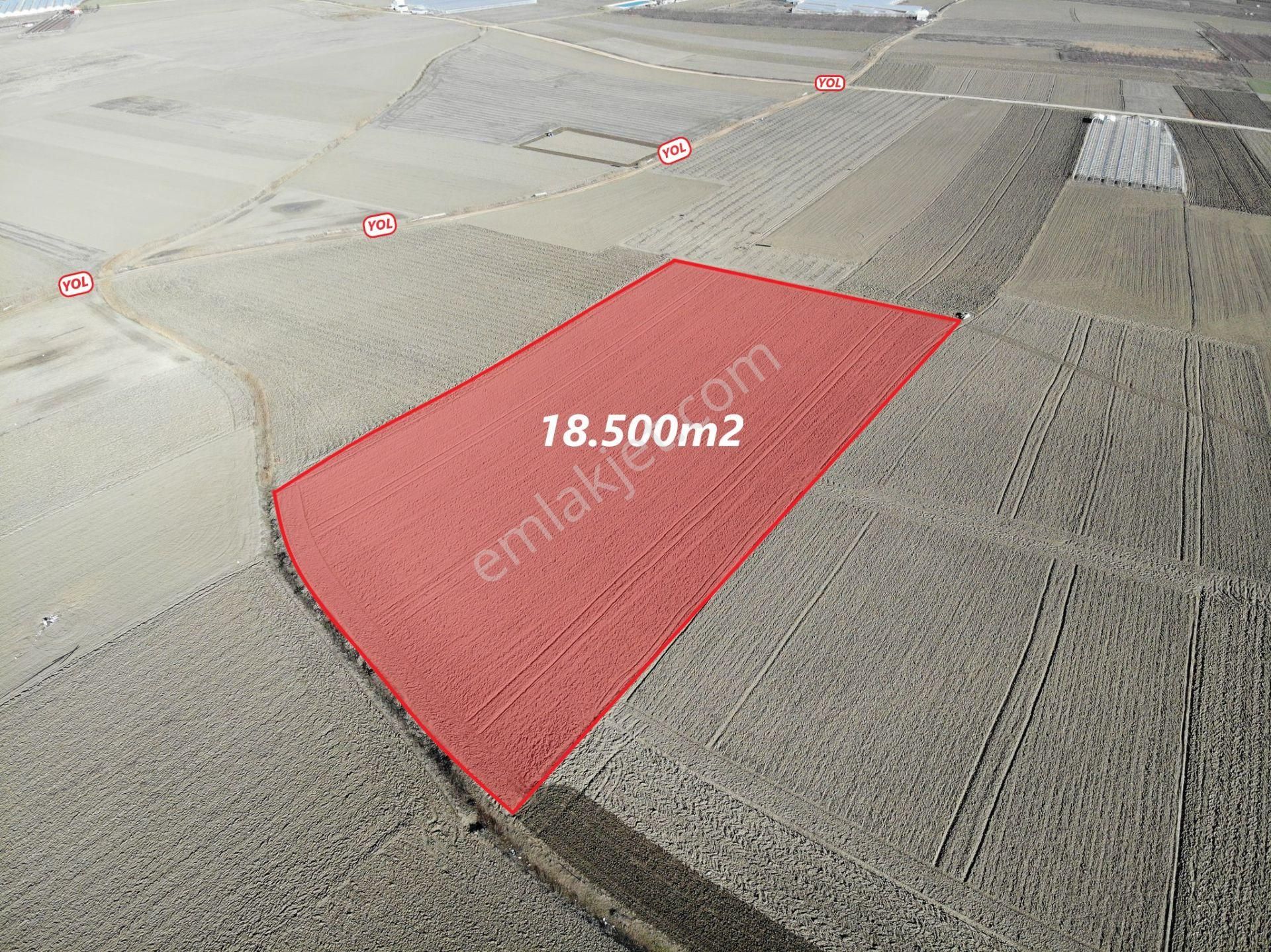 Antalya Elmalı Eymir Mah'de Tarıma Elverişli 18.500m2 Satılık Tarla - Görsel 5