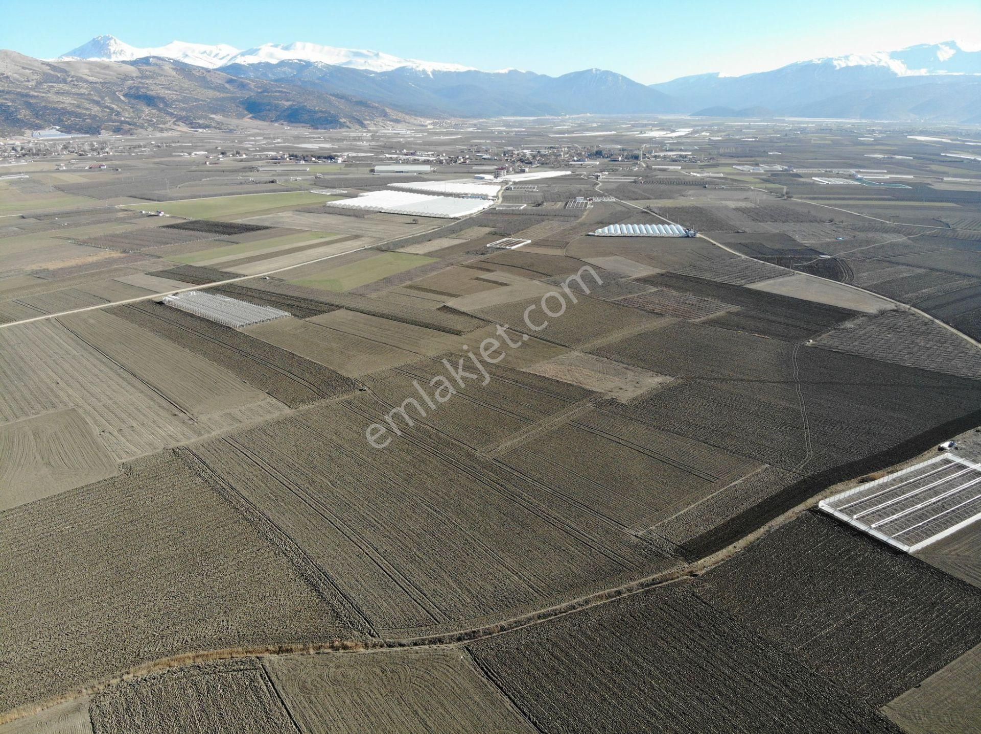 Antalya Elmalı Eymir Mah'de Tarıma Elverişli 18.500m2 Satılık Tarla - Görsel 10