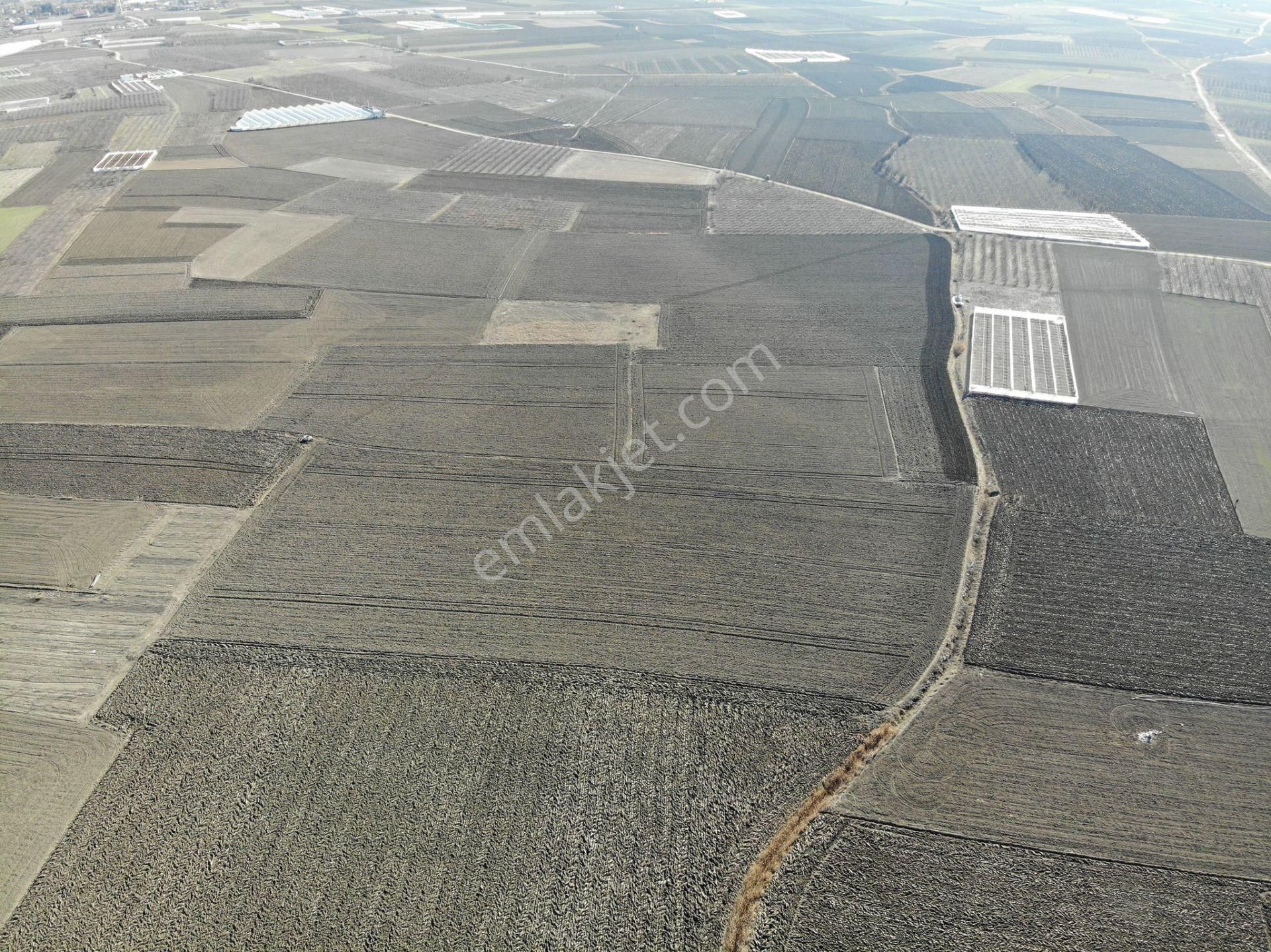 Antalya Elmalı Eymir Mah'de Tarıma Elverişli 18.500m2 Satılık Tarla - Görsel 8