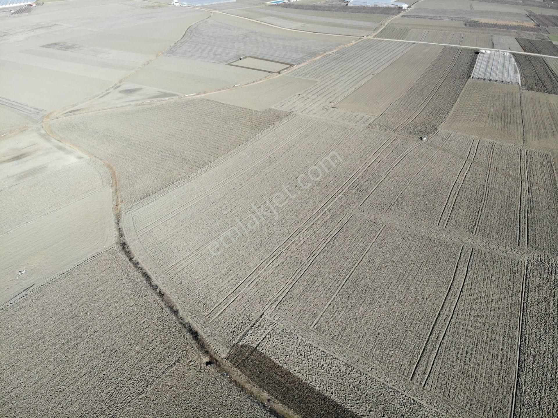 Antalya Elmalı Eymir Mah'de Tarıma Elverişli 18.500m2 Satılık Tarla - Görsel 6