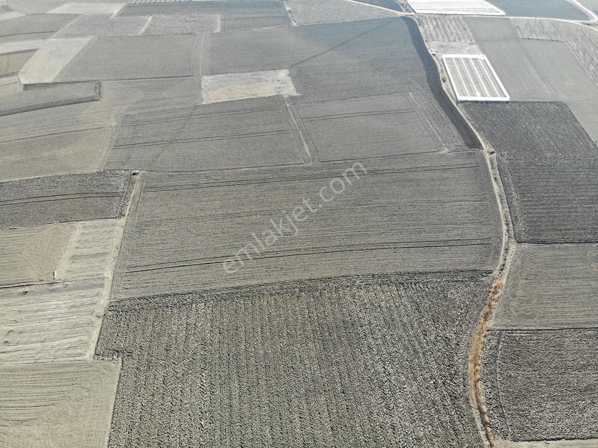 Antalya Elmalı Eymir Mah'de Tarıma Elverişli 18.500m2 Satılık Tarla - Görsel 12