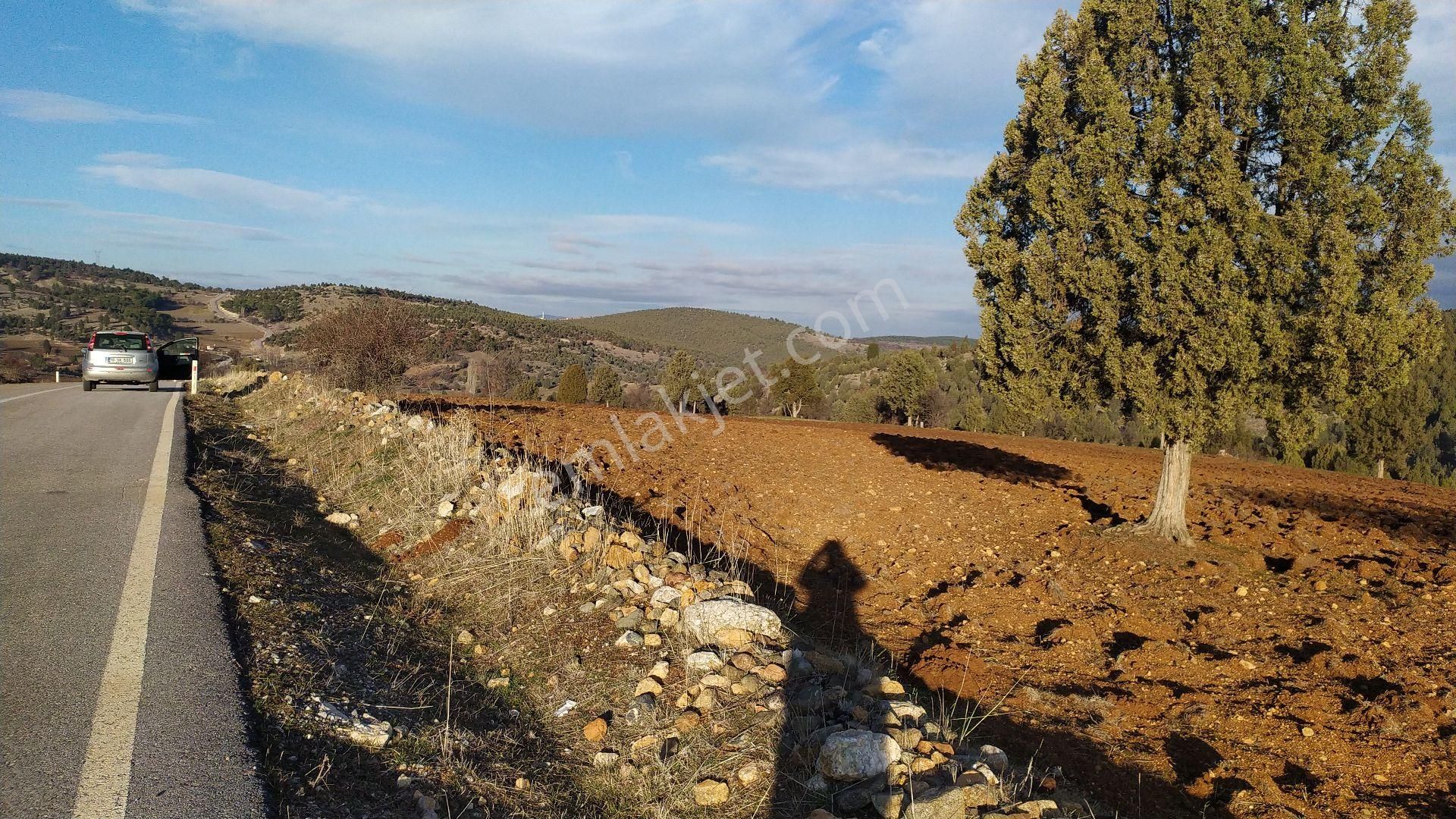 Sinerji 'den Asfalt Yola Cephe Koye Yakın 6.246 M2 Fırsat Arazi