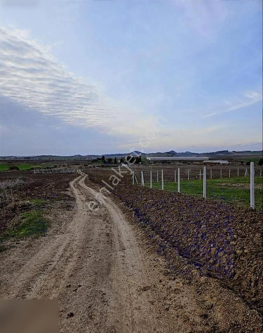 Sarıçam Akkuyu Satılık Tarla Poyraz Emlaktan Etrafı Çevrili 2256 M2 Doğa Manzaralı..