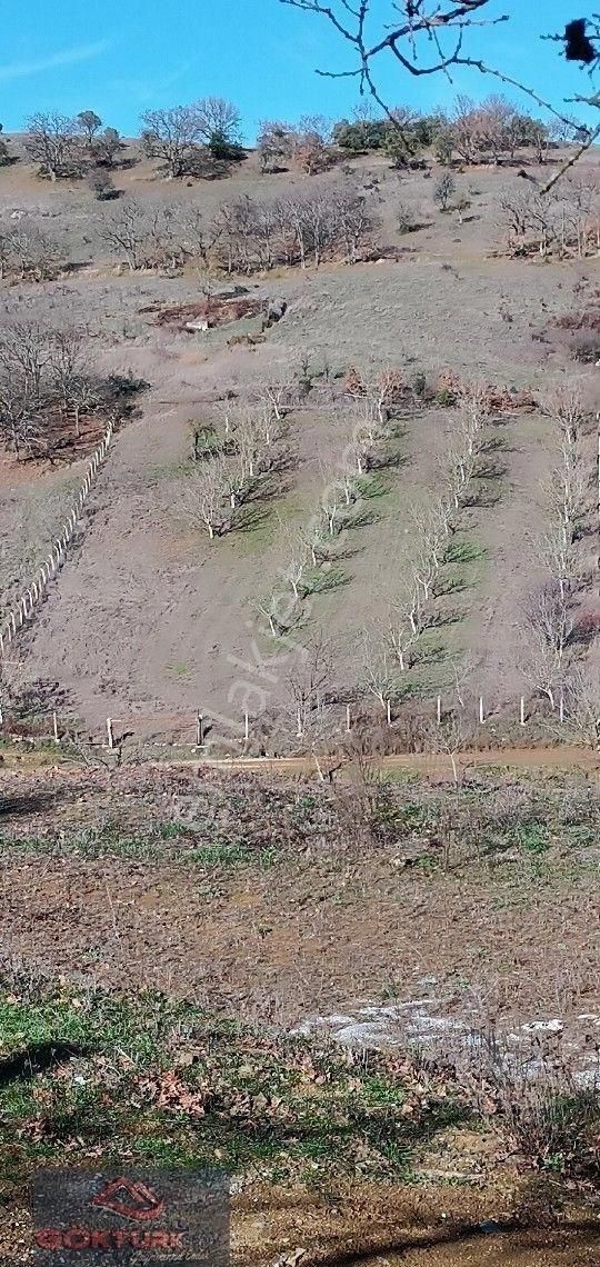 Çan Terzialan Bld. (Çakmakçayır) Satılık Tarla Çanakkale,çan,terzialan,gölet Yoluna Cepheli Satılık Cevizlik