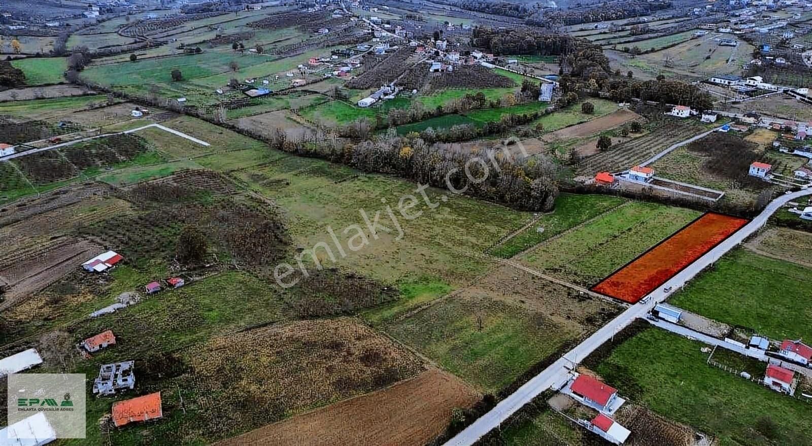 Kandıra Karaağaç Satılık Tarla Epa Tekbirden Kandıra Karaağaçta 2.602m2 Satılık Arsa