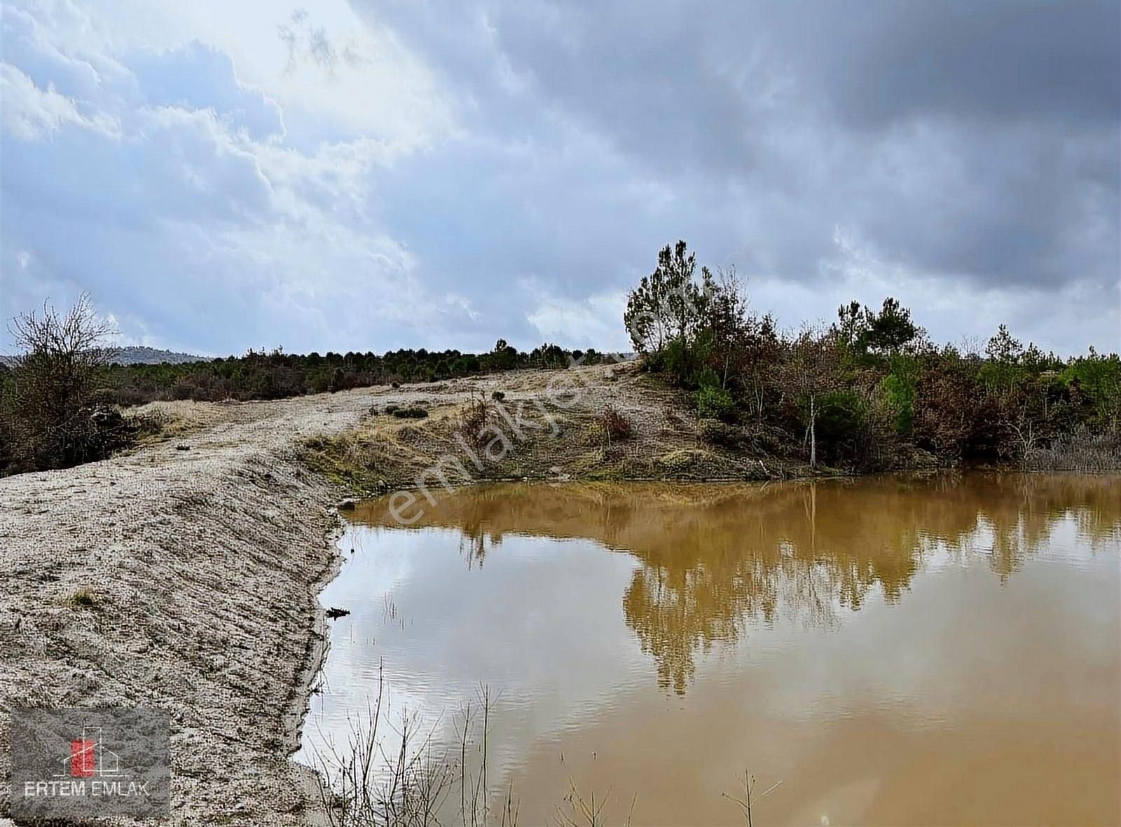 Yunusemre Karaveliler Satılık Tarla Manisa Yunusemre Satılık Arazi 2000 M2 Suyu Ve Yolu Var