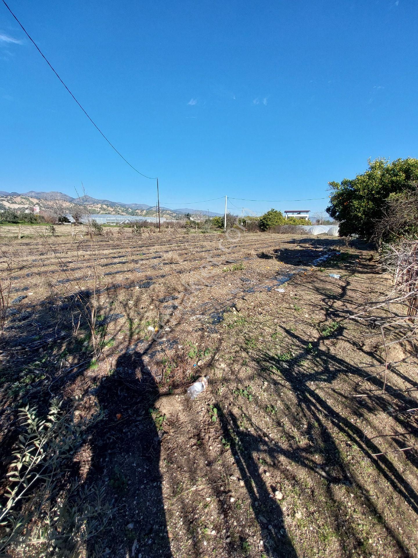 1254 Metrekare Bahçe İçinde 2 Katlı Müstakil Bina - Görsel 14