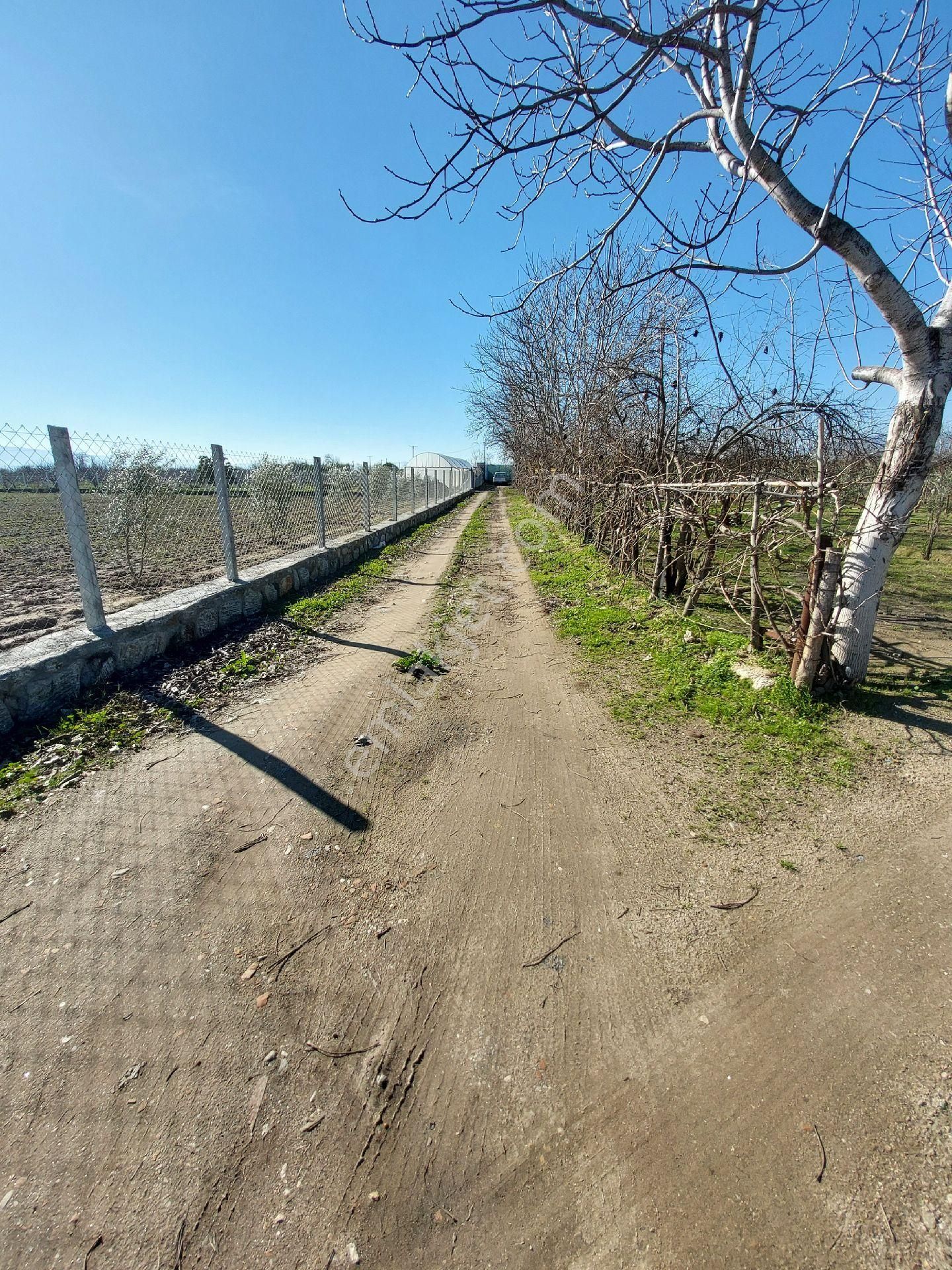 1254 Metrekare Bahçe İçinde 2 Katlı Müstakil Bina - Görsel 5