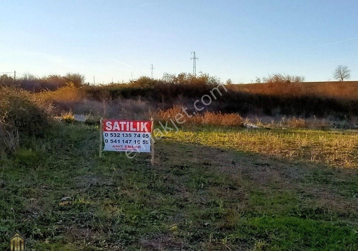 Vezirköprü Oruç Satılık Tarla Anıt Emlaktan Satılık Tarla