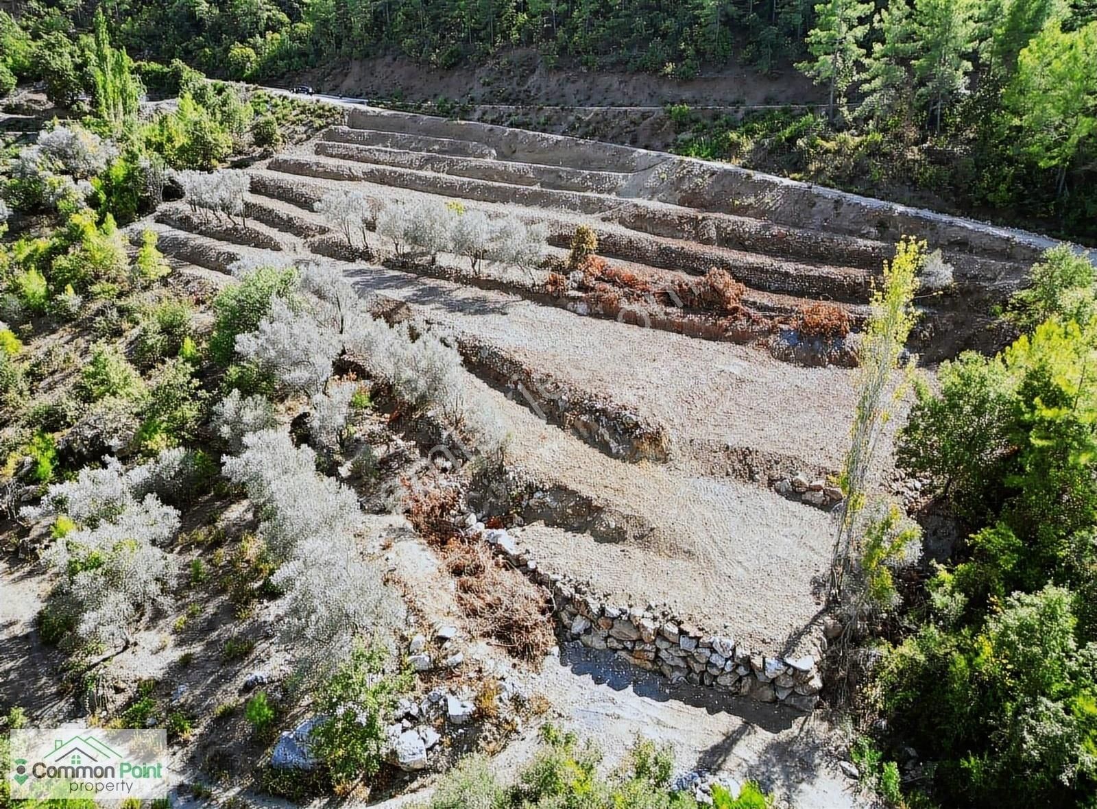 Alanya Şıhlar Satılık Tarla Acil Acil Satılık Kelepir Satılık Tarla