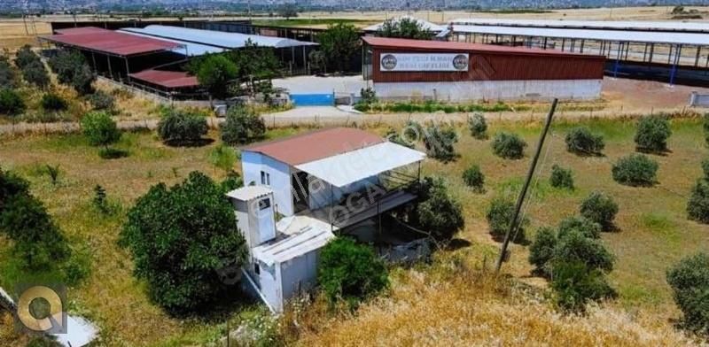 Döşemealtı Karataş Satılık Tarla Yatırıma Uygun