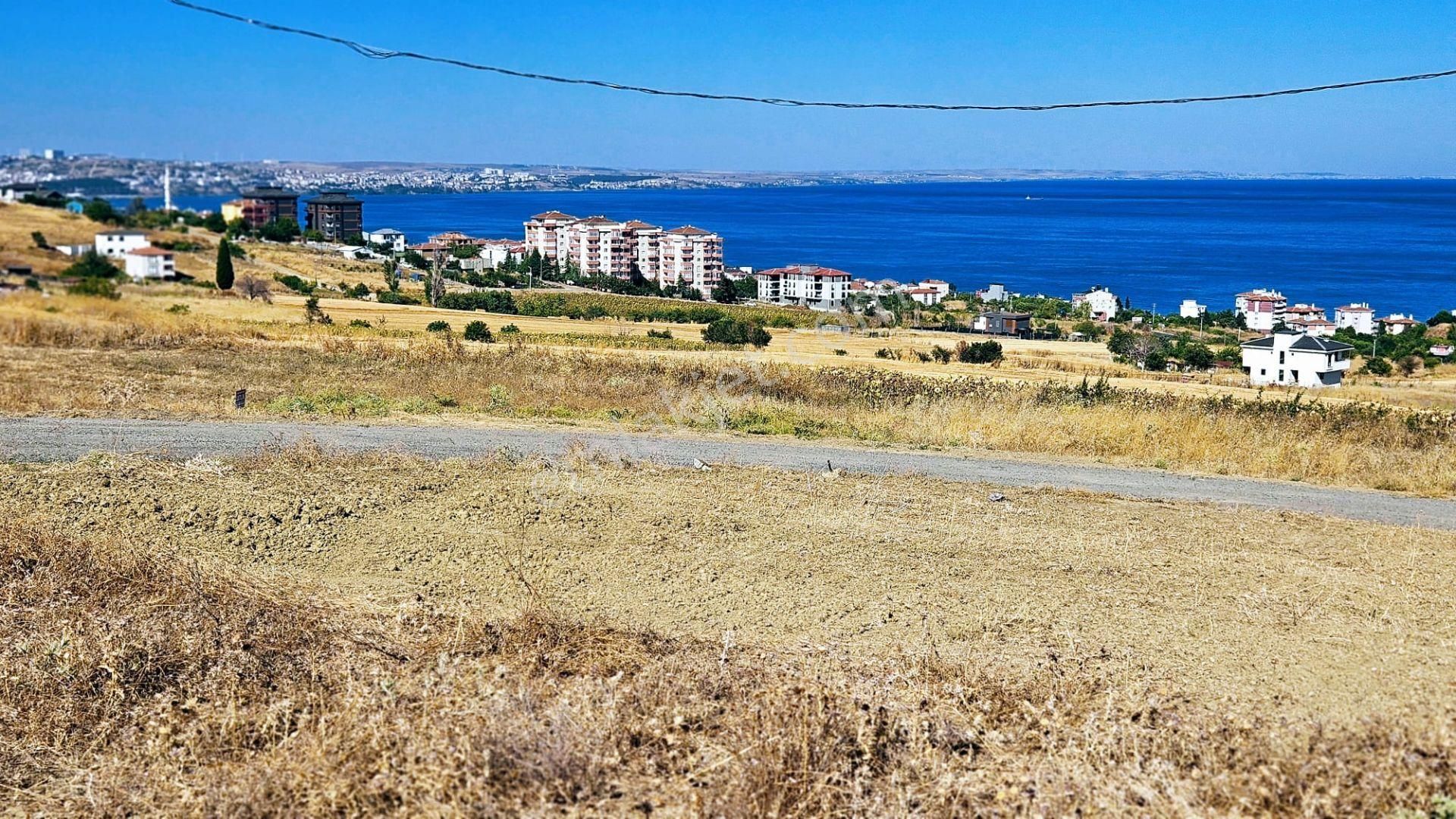 Süleymanpaşa Barbaros Satılık Konut İmarlı Hayelinizdekı 2 Adet Fuul Deniz Manzaralı Müstakil Evininizi Yapmanız İçın Fırsat Arsa