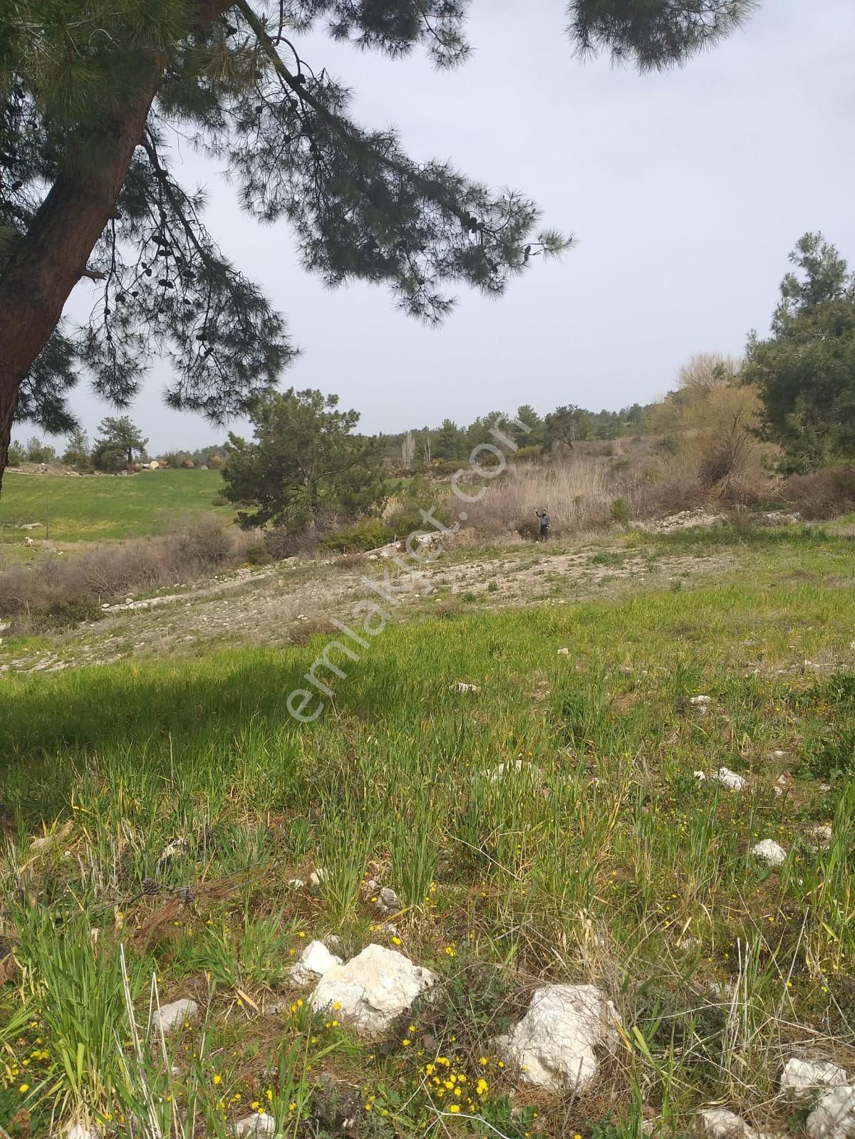 Seydikemer Yakaköy Satılık Tarla Seydikmer Yakada Müstakil Parsel 1429 M2 Satılık