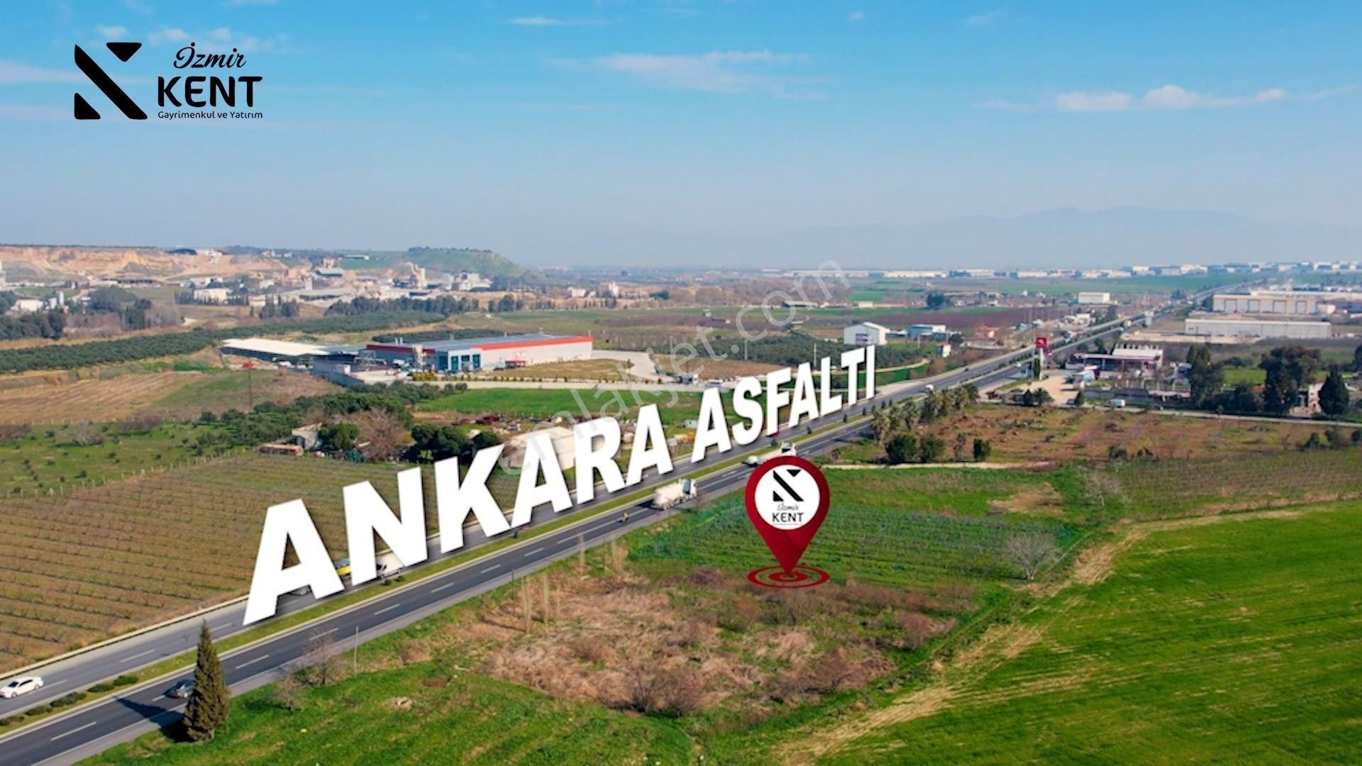 Kemalpaşa Bağyurdu Yeni Satılık Bağ & Bahçe Kemalpaşa Ankara Asfaltı Üzeri Satılık Arazi 9.222 M2