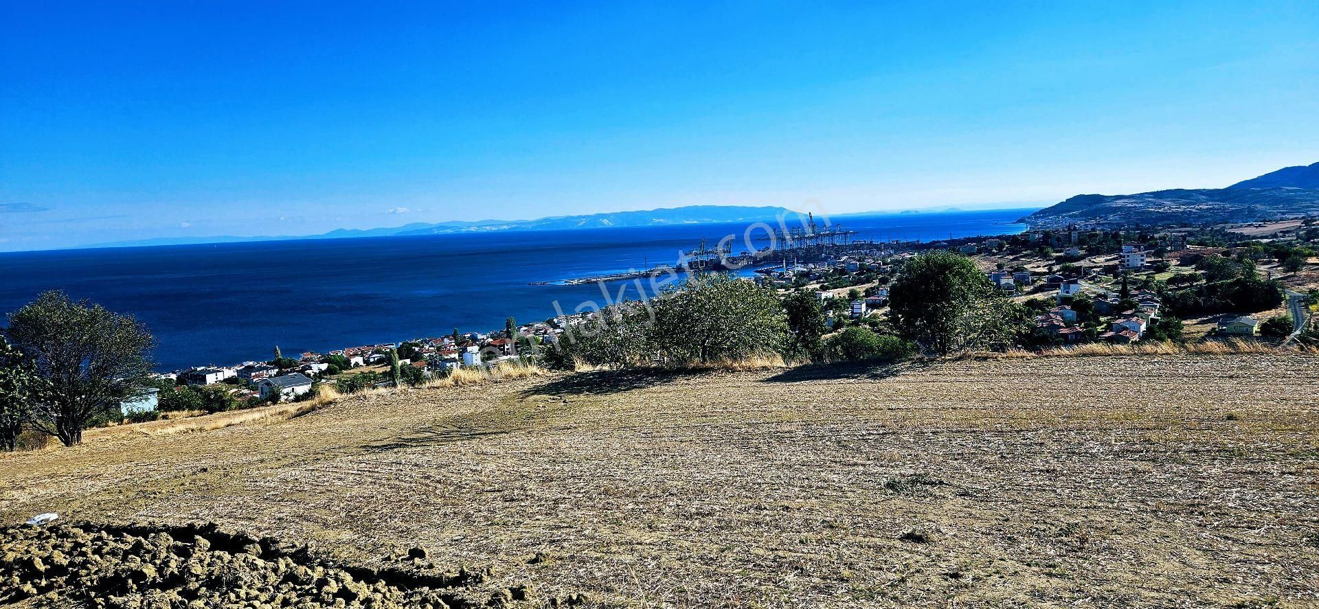 Süleymanpaşa Barbaros Satılık Konut İmarlı Tekirdağ Barbarosta Acil Satılık Full Deniz Manzaralı Kupon Arsa