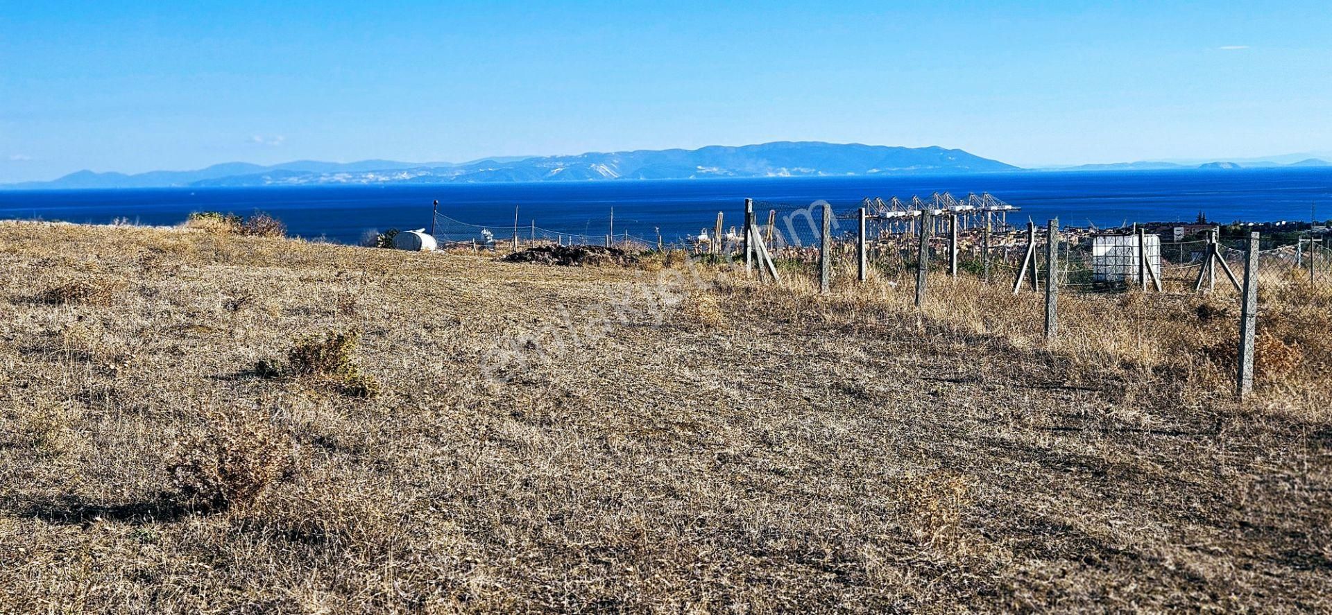 Süleymanpaşa Barbaros Satılık Konut İmarlı Tekirdağ Barbarosta İhtiyaçtan Acil Satılık Kupon Kelepir Arsa