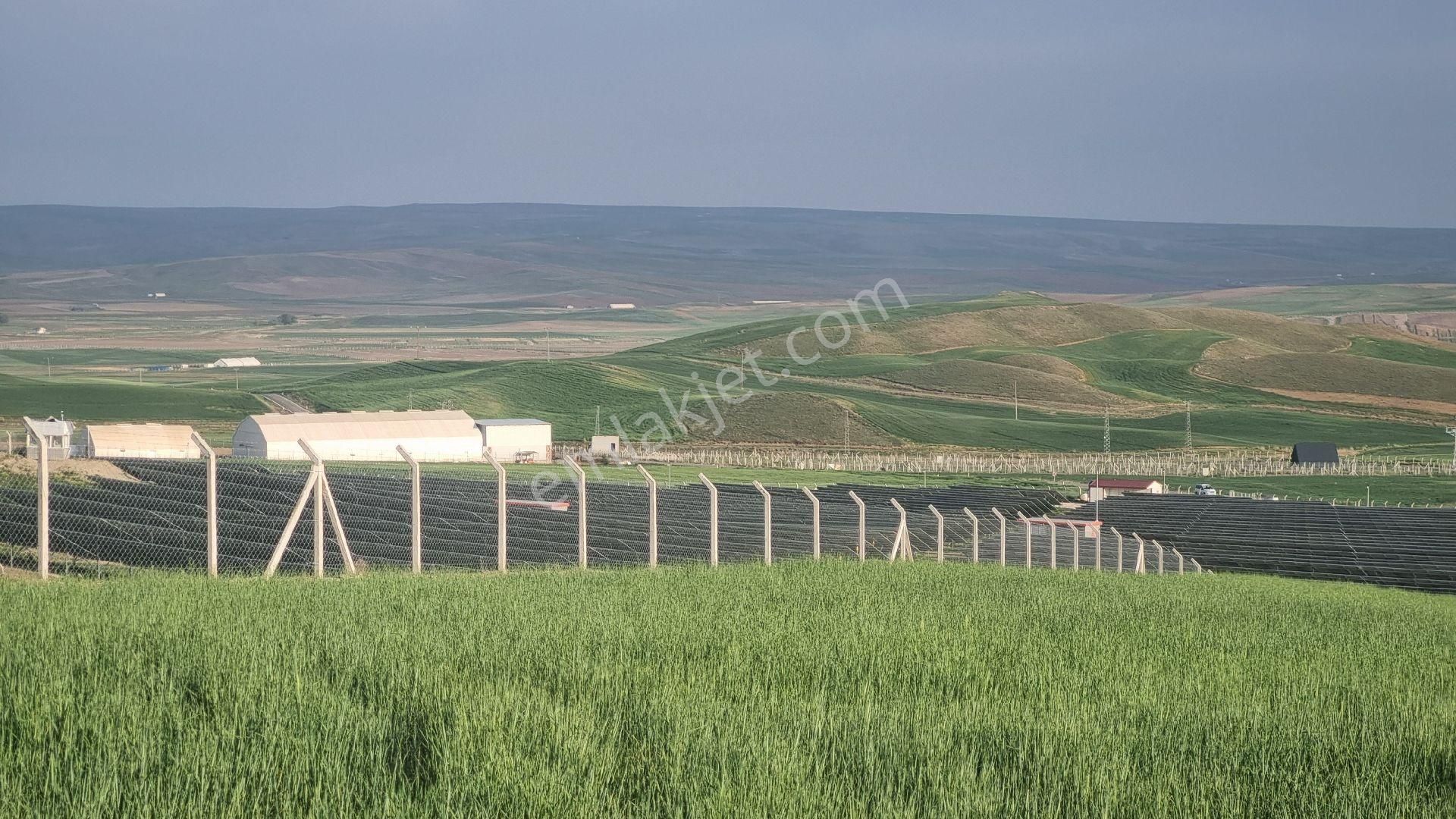 Gölbaşı Bağiçi Satılık Tarla Ankara Gölbaşı Bağiçinde 21 Dönüm Satılık Tek Tapu Tarla Takas Olur..