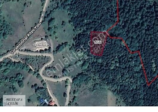 Mengen Çorakkadirler Köyü (Kadirler) Satılık Tarla Bolu Mengen Çorakkadirler Köyü 3.350,00 M² Satılık Tarla