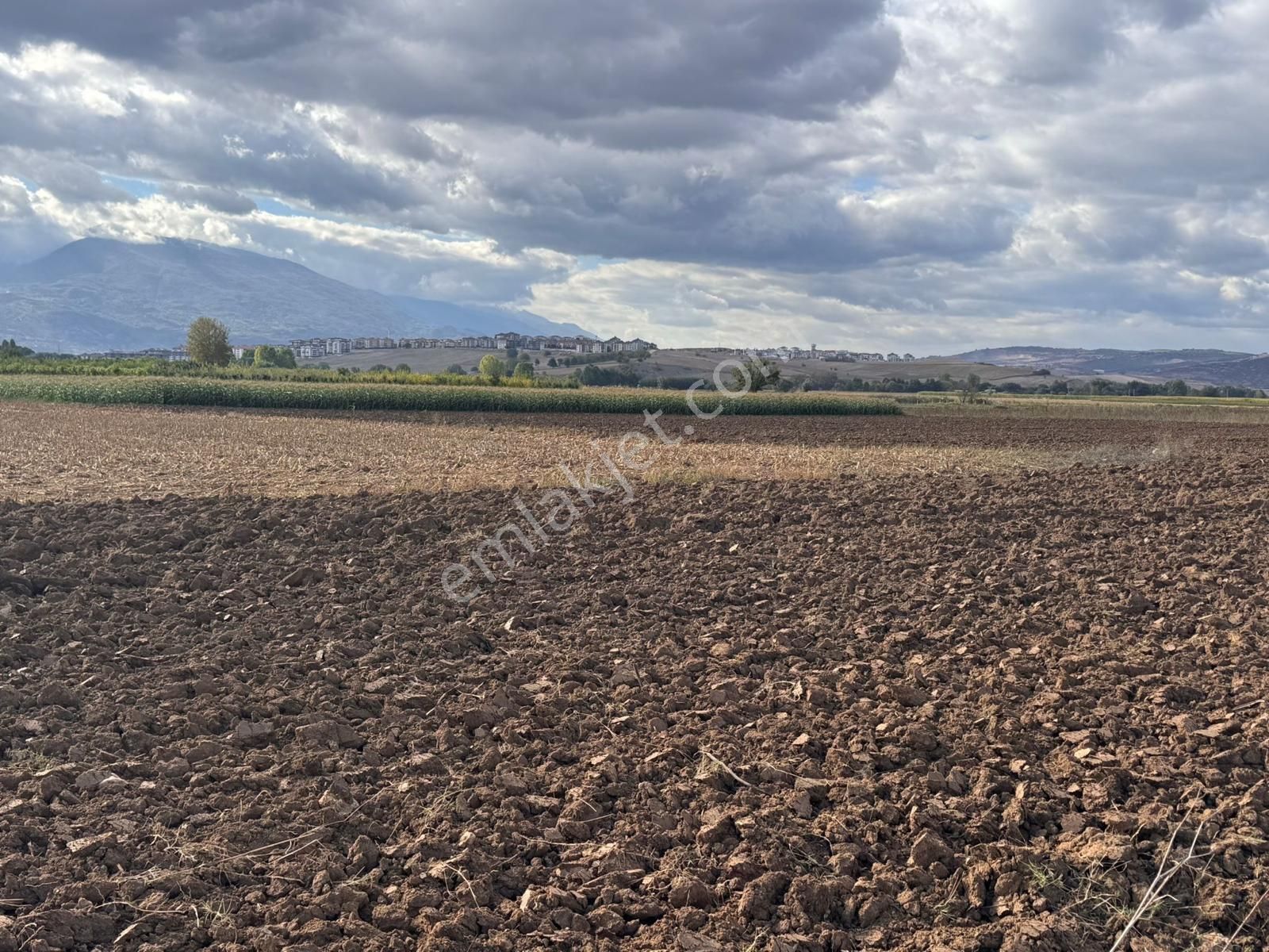 İnegöl Şipali Satılık Tarla İnegöl Şipali Mh. Satılık 3.500 M2 Tarla (102/28)