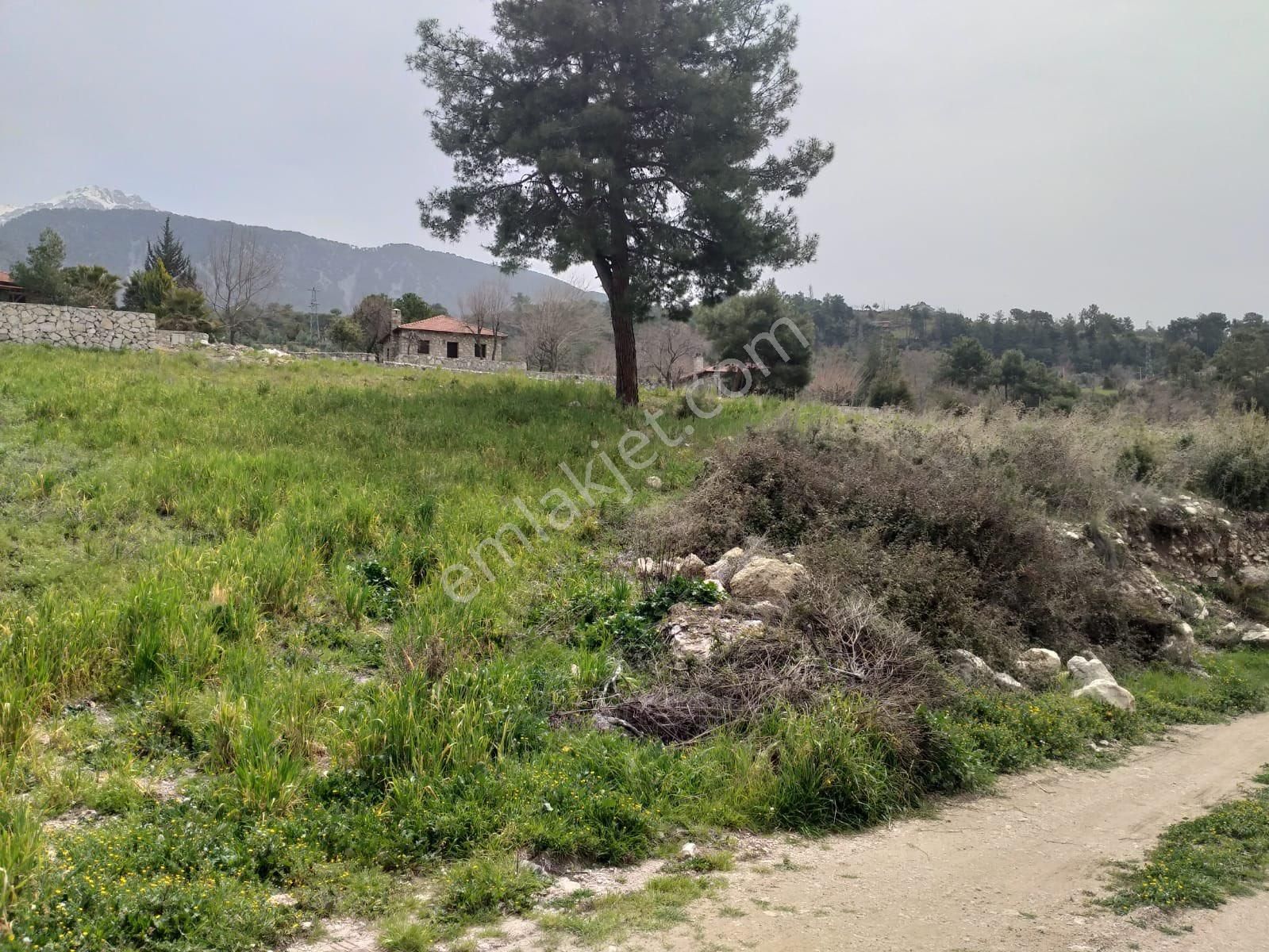 Seydikemer Yakaköy Satılık Tarla Seydikemer Yaka Köyü Müstakil Parsel 1500 M2 Bahçe Niteliğinde Satılık Parsel