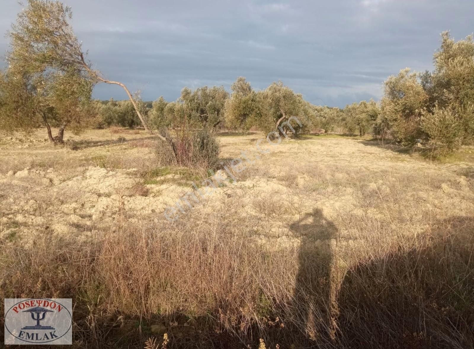 Eceabat Alçıtepe Köyü Satılık Tarla Eceabat Alçıtepede Bulunan 10 725 M2 Satılık Tarla