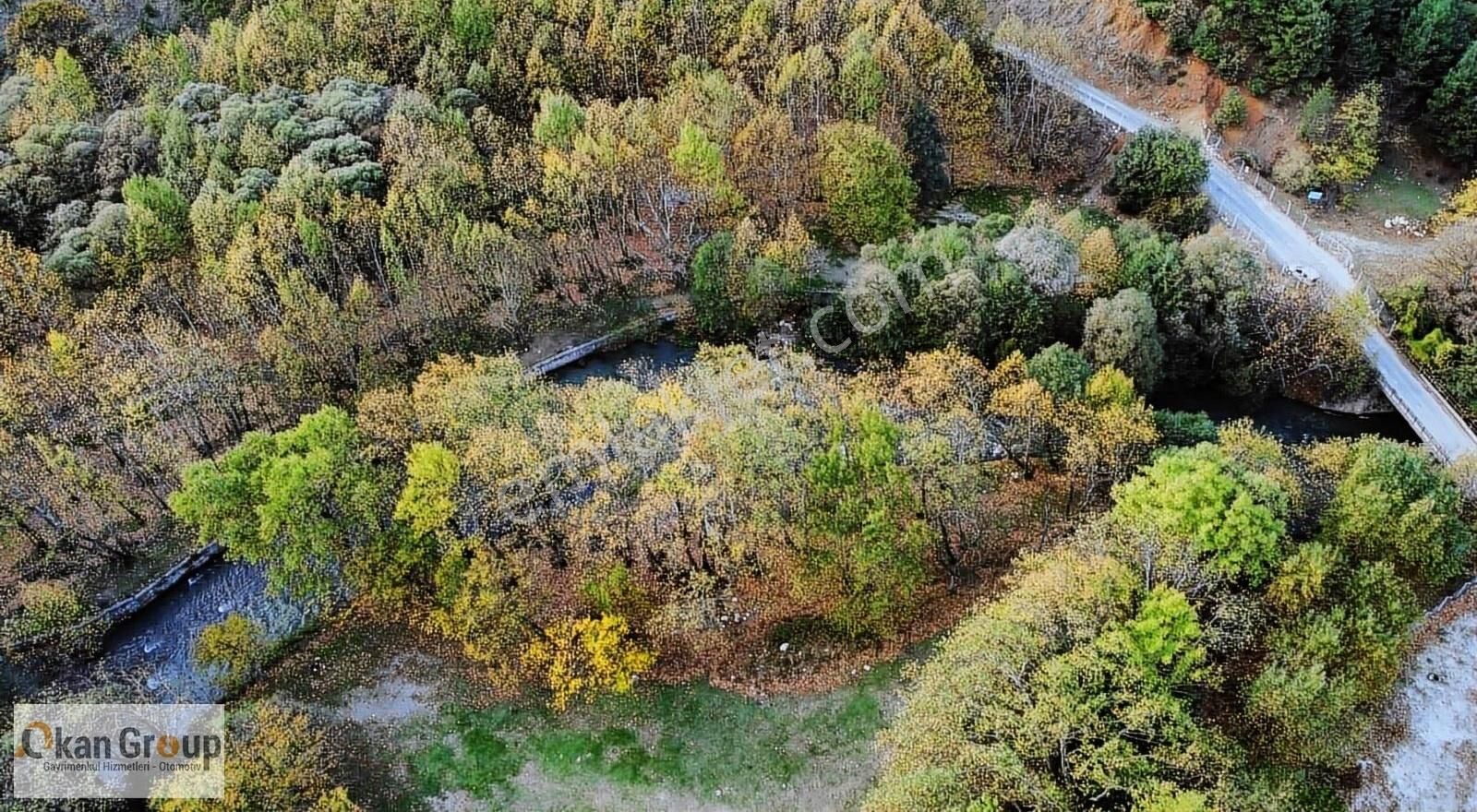 Osmangazi Mürseller Satılık Bağ & Bahçe Osmangazi Mürsellerde Doğa İçerisinde Kafe Yapımına Uygun Bahçe