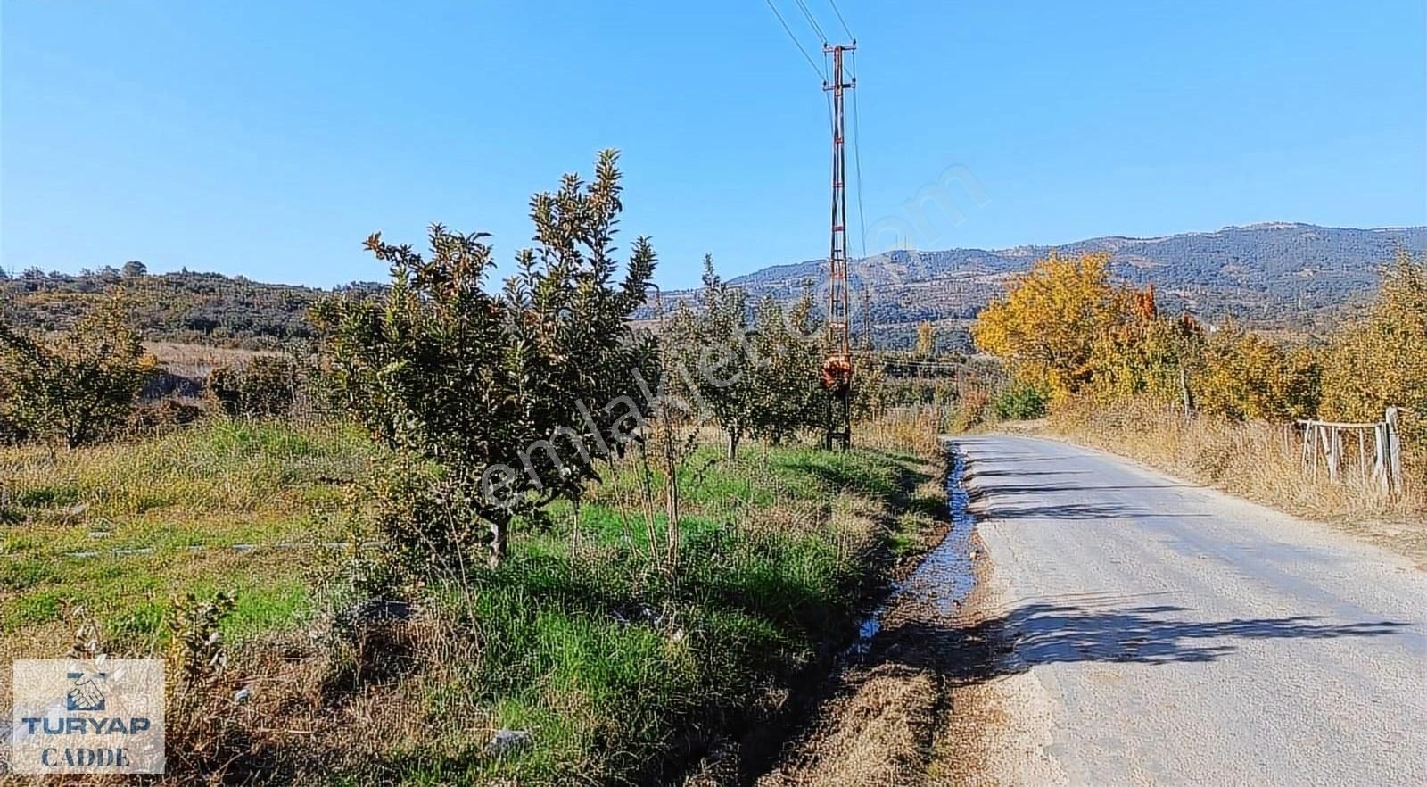 Bayramiç Evciler Köyü (Aşağı) Satılık Tarla Çanakkale Ayazma Cenneti Mevkiinde Tarla !!!