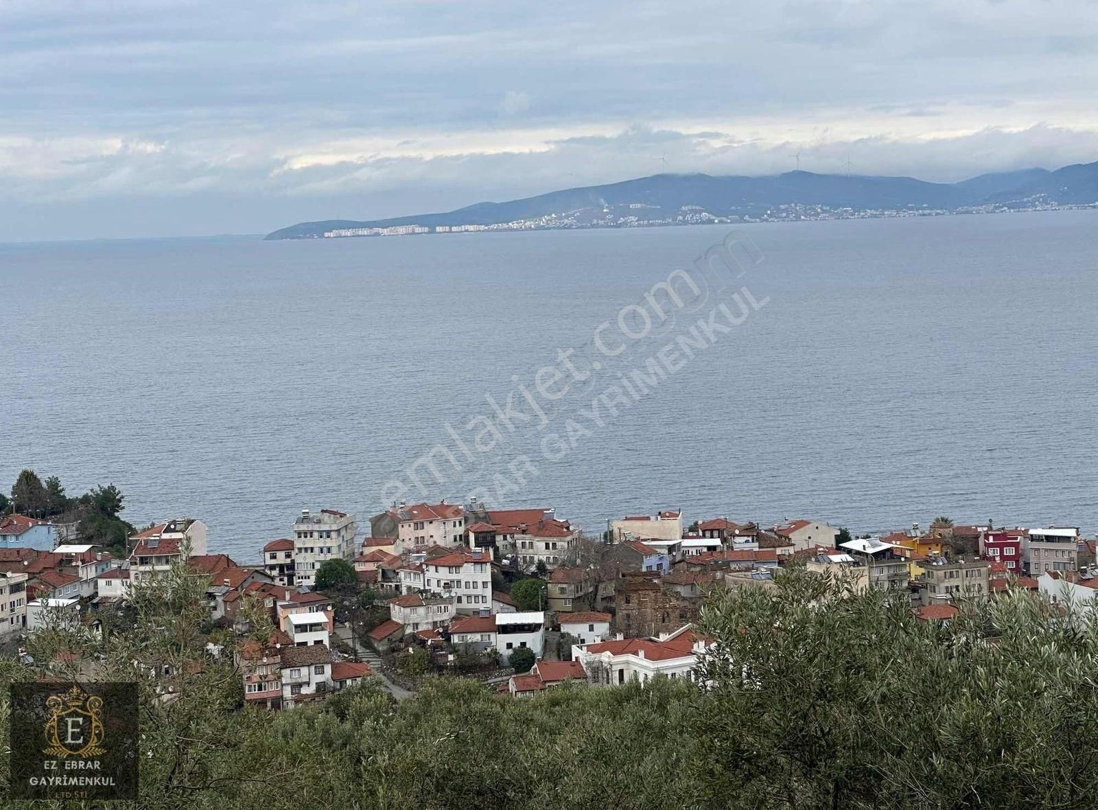 Bursa Mudanya Satılık Zeytinlik Bursa Mudanya Talatbey'de Deniz Manzaralı Yatırımlık