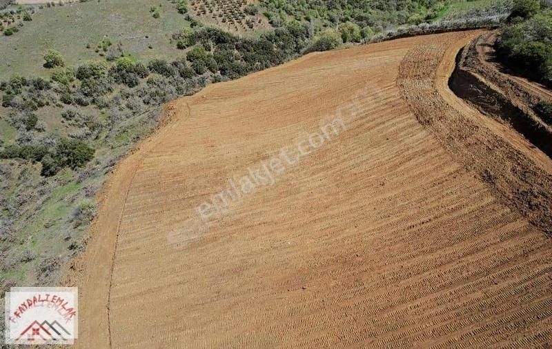 Köprübaşı Alanyolu Satılık Tarla Manisa Köprübaşı Alanyolunda Satılık Tarla Yeni Temizlenmiş