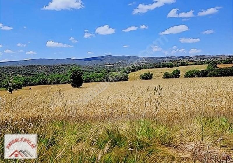 Gördes Yeniköy Satılık Tarla Manisa Gördes Yeniköyde 27 Dönüm Arazi Resmı Yıla Cephe