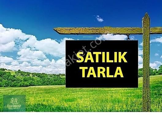 Gölbaşı Halaçlı Satılık Tarla Gölbaşı Hallaçlıda Tek Tapu , Kök Tapu Asfalt Cepheli 18800 M2