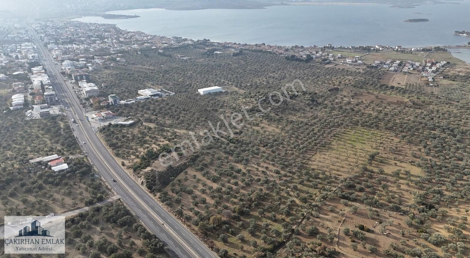 Aliağa Yenişakran Satılık Zeytinlik Şakran Merkezde Denize Ve Göle Yakın Satılık Zeytinlik 2