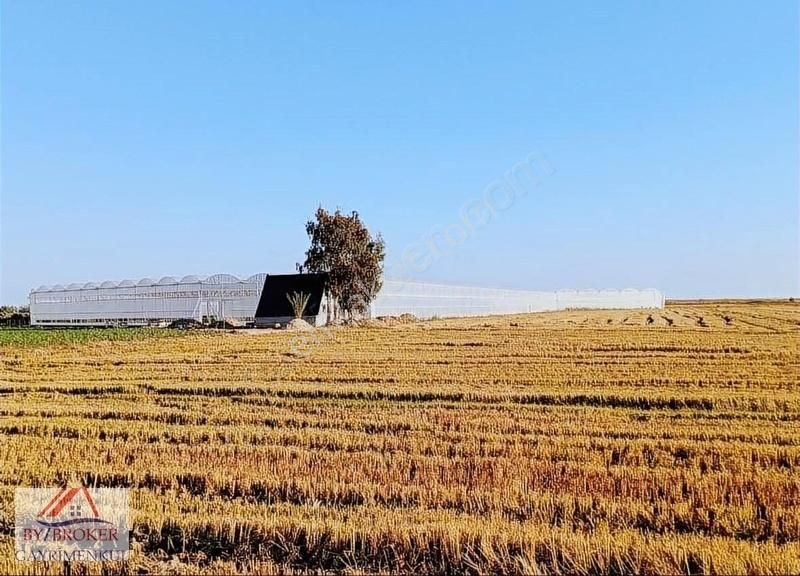 Silifke Burunucu Satılık Tarla Denize Yürüme Mesafesinde Muhteşem Muz Serası! Otel Bölgesi