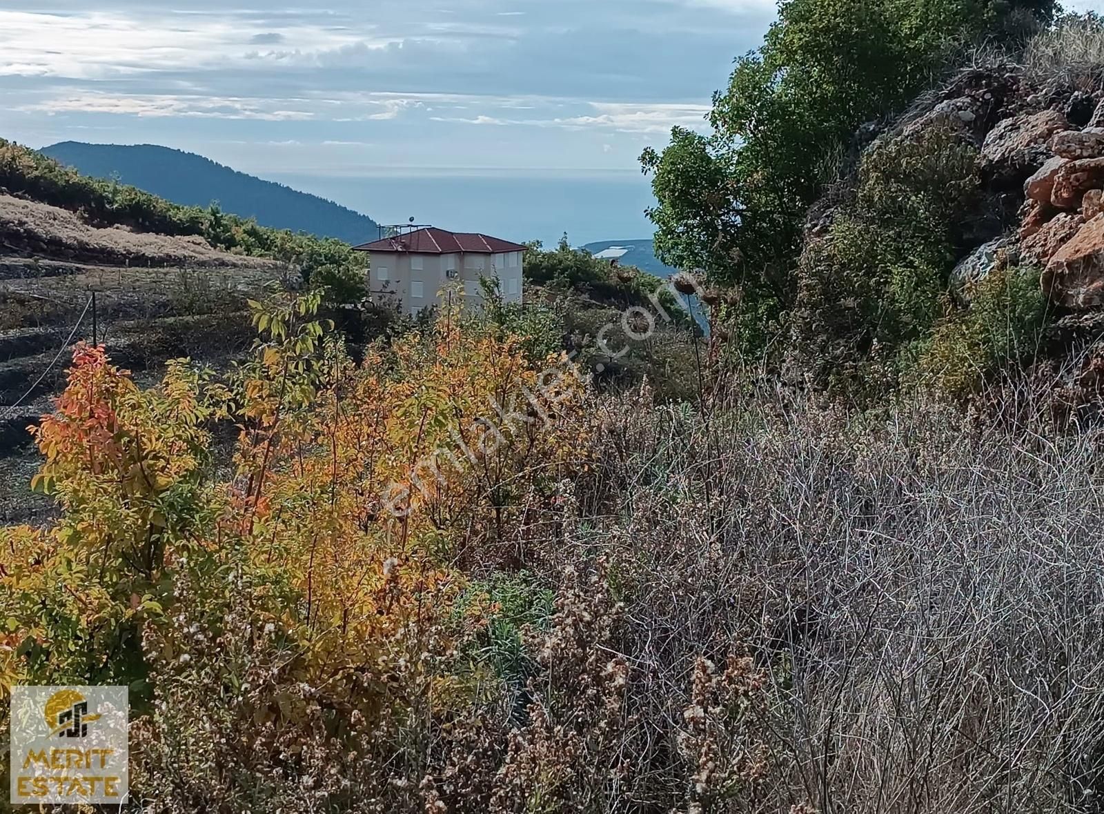 Alanya Mahmutlar Satılık Tarla Mahmutlar Gözüküçüklü Mah. Satılık 12.000 Tarla