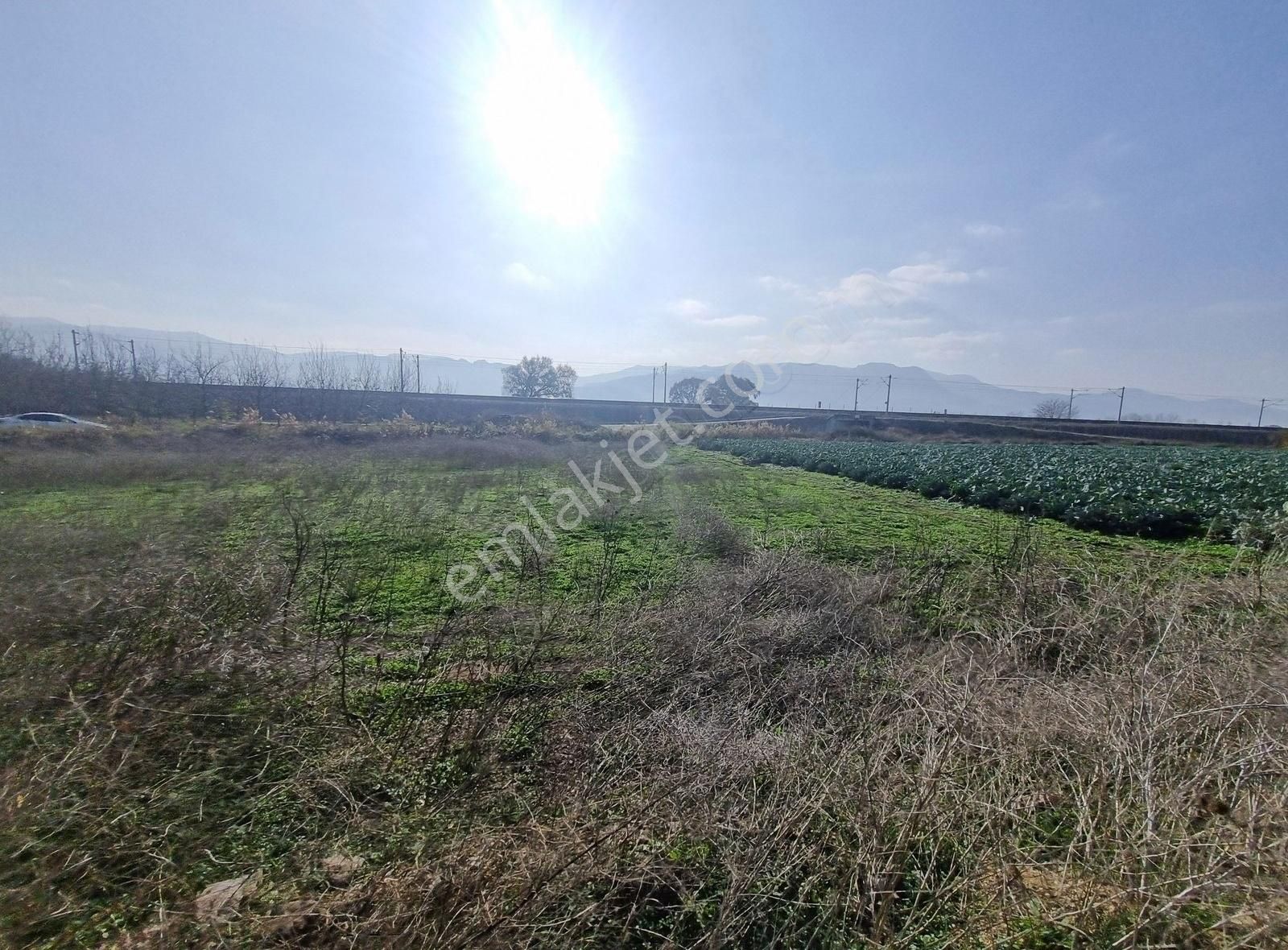 Pamukova Gökgöz Satılık Tarla Pamukova Gökgöz Mahallesinde 1023m² Tarla