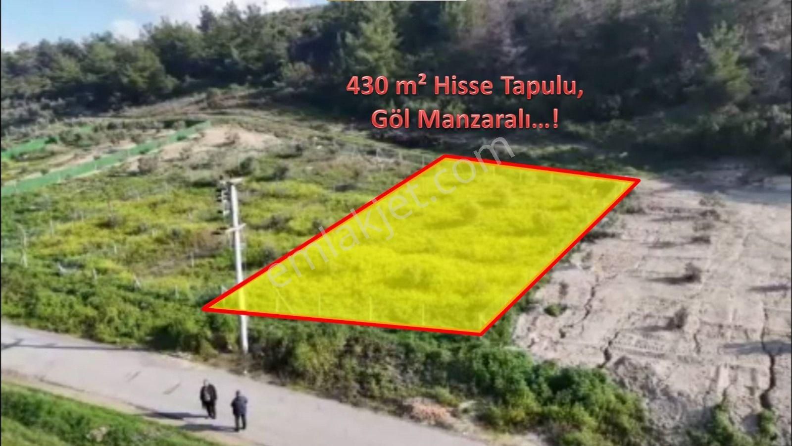 İzmir Menderes Satılık Zeytinlik Tekelide Tahtalı Barajı Manzaralı 430 M2 Hisse Tapulu Menderes İzmir