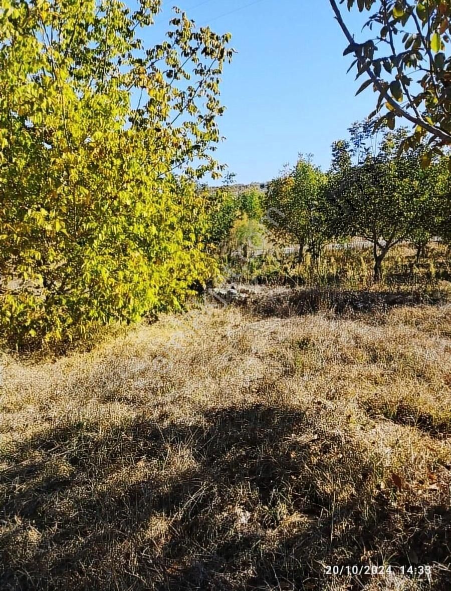 Salihli Mithatpaşa Satılık Tarla Salihli Beşyol Emlaktan Satılık Asfalt Kenarında Arazi