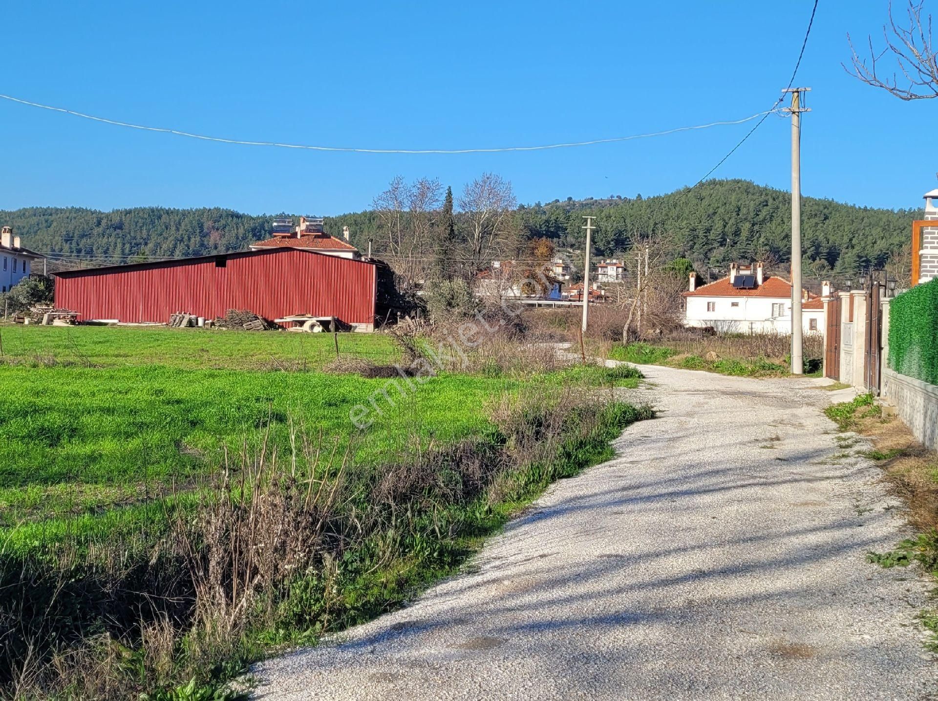 Muğla Ula Satılık Tarla Liem'den Satılık Yol Cepheli Arazi