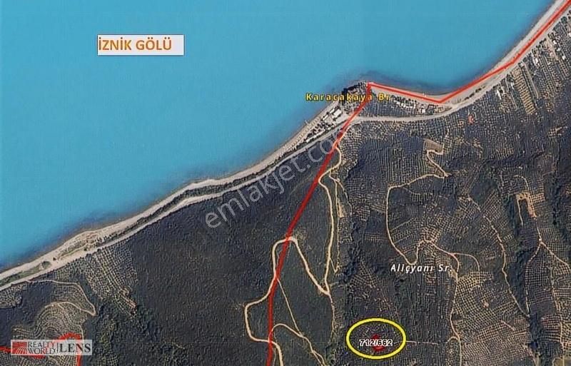 İznik Aydınlar Satılık Tarla İznik Gölü Manazaralı Satılık Zeytinlik