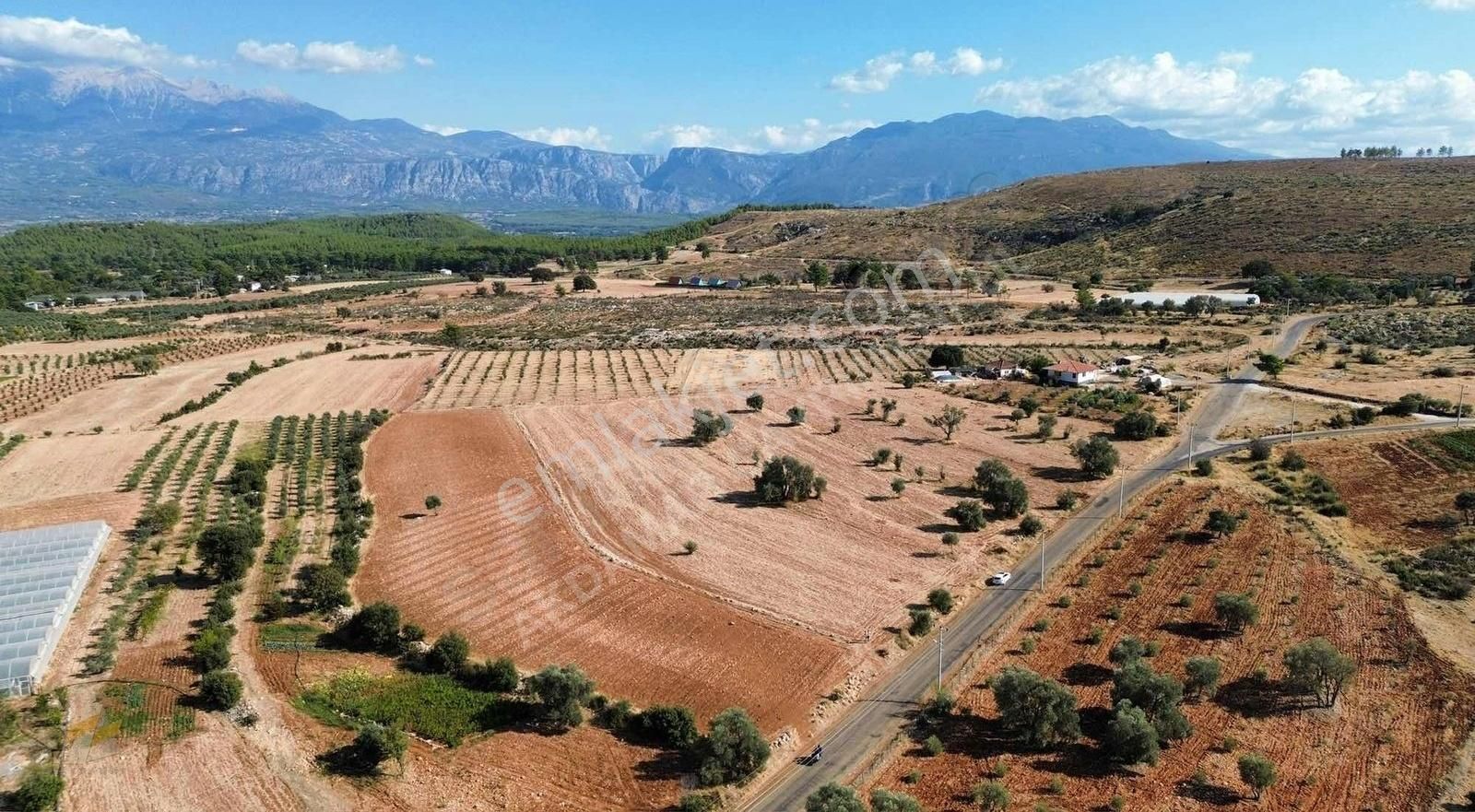 Seydikemer Kabaağaç Satılık Tarla Akdamar'dan Kabaağaçta Satılık Yol Cepheli Tarlalar